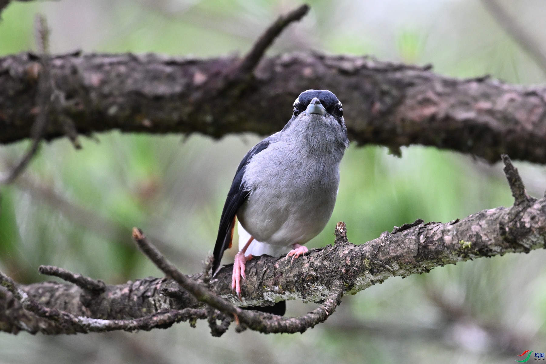 DSC_1067.JPG