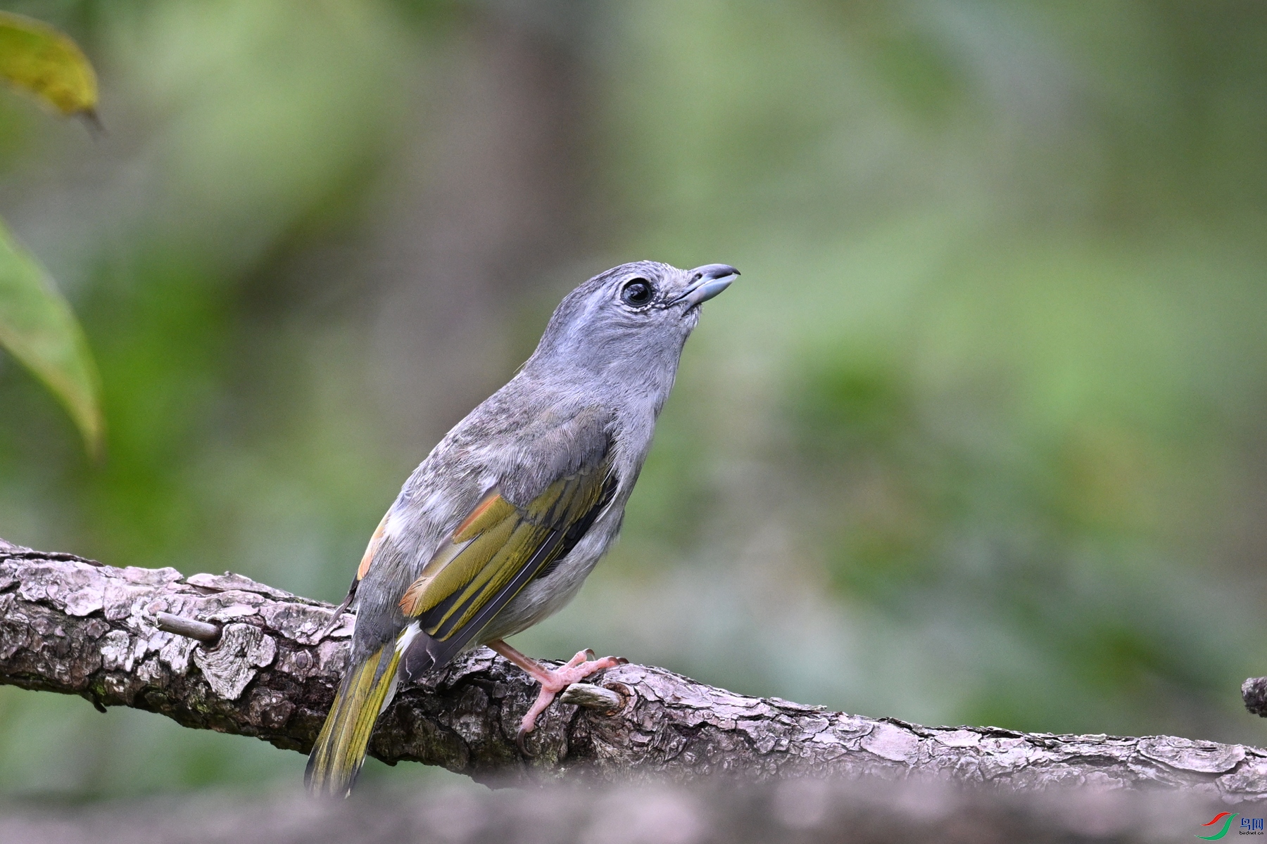 DSC_1049.JPG