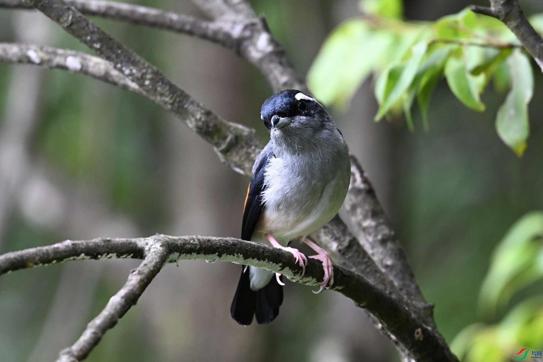 DSC_1078.JPG