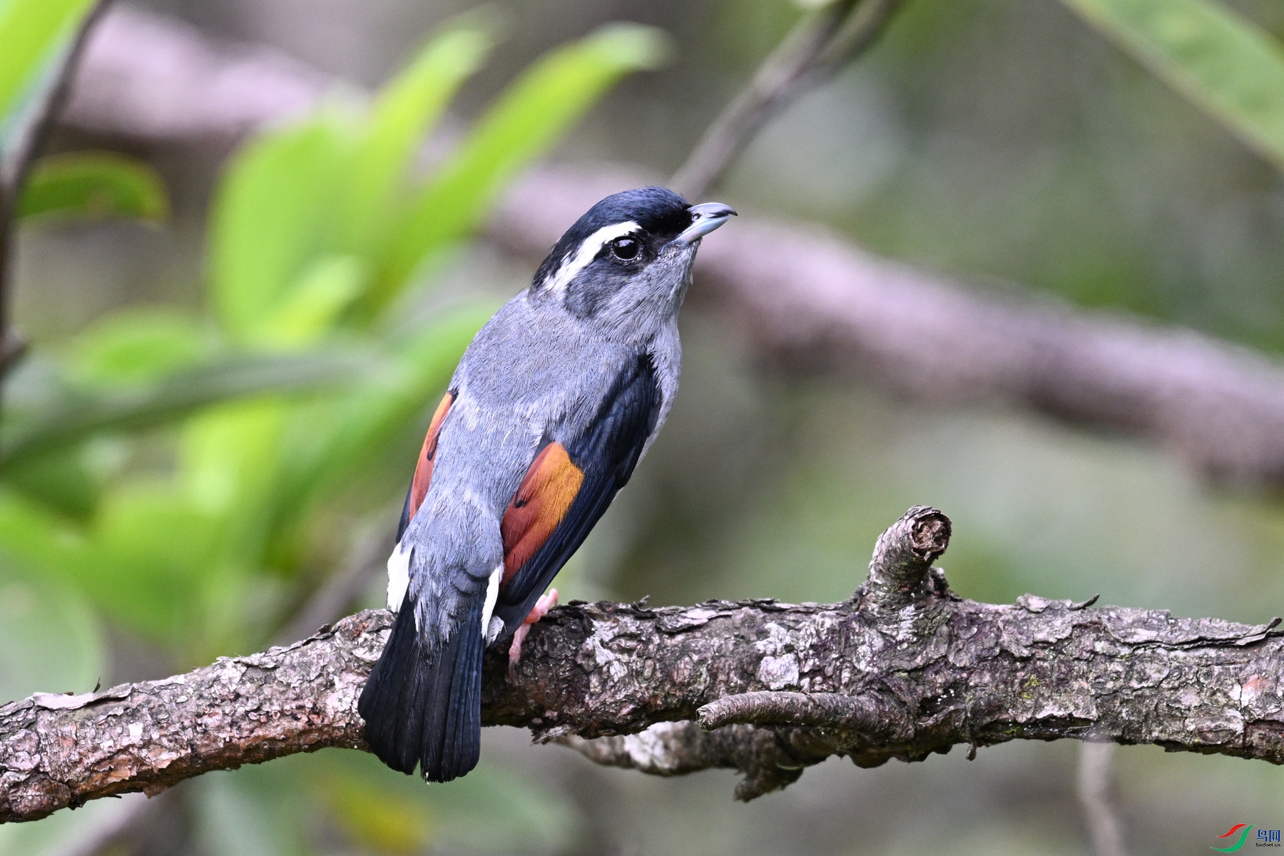 DSC_1034.JPG