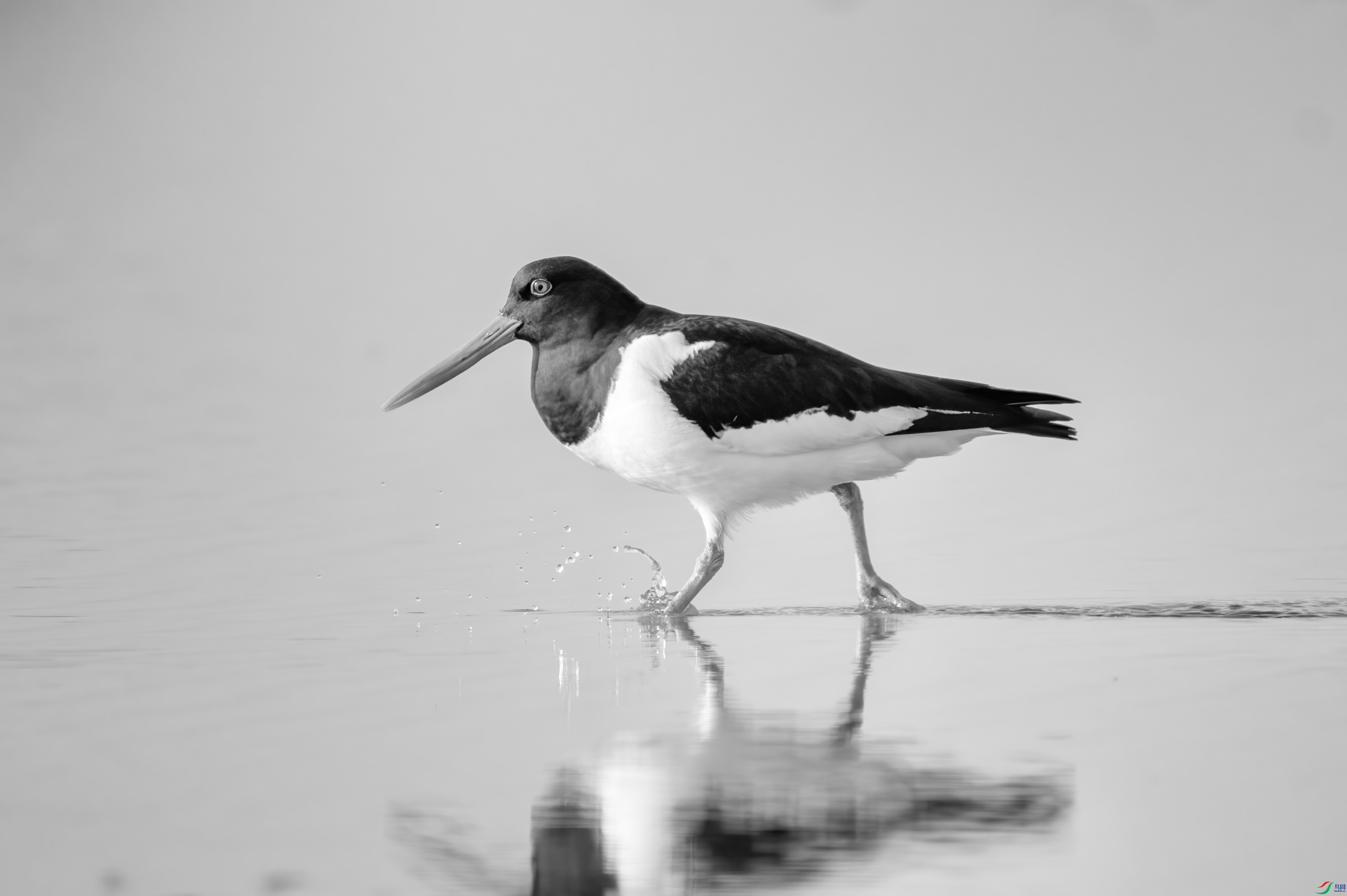 DSC00770 ����..jpg