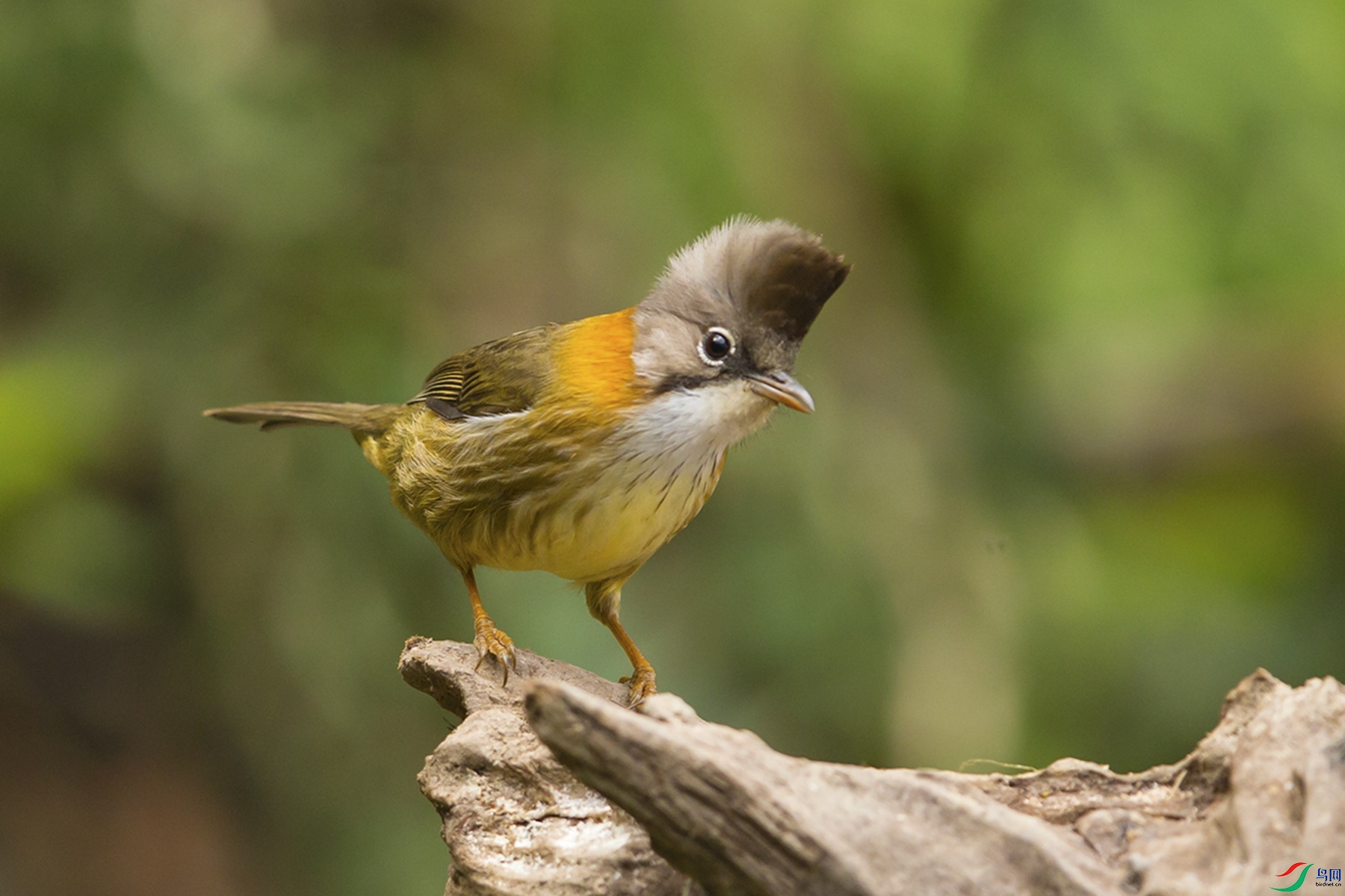 �ƾ����� .jpg