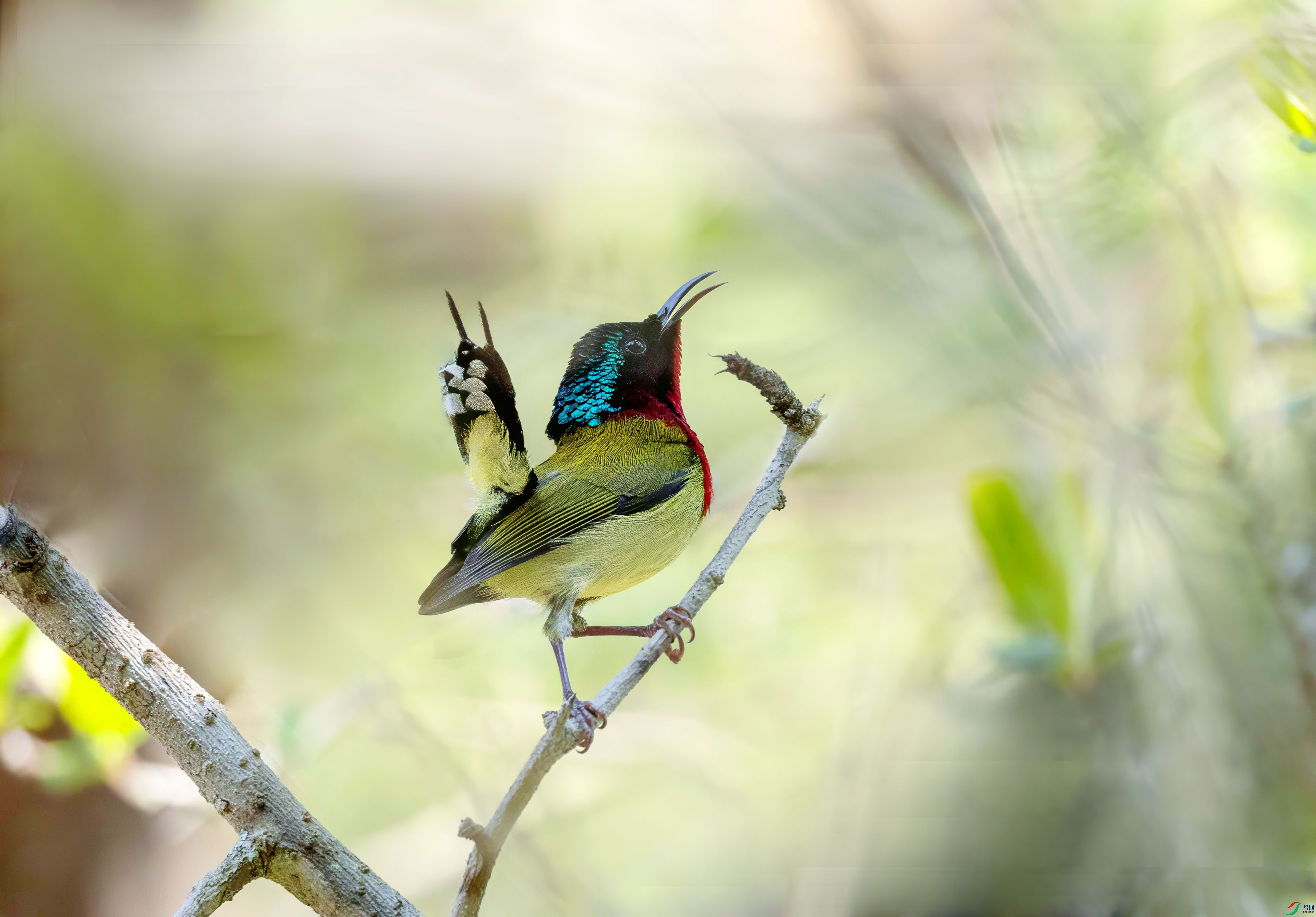 5N9A8986 ���� 3(1).jpg