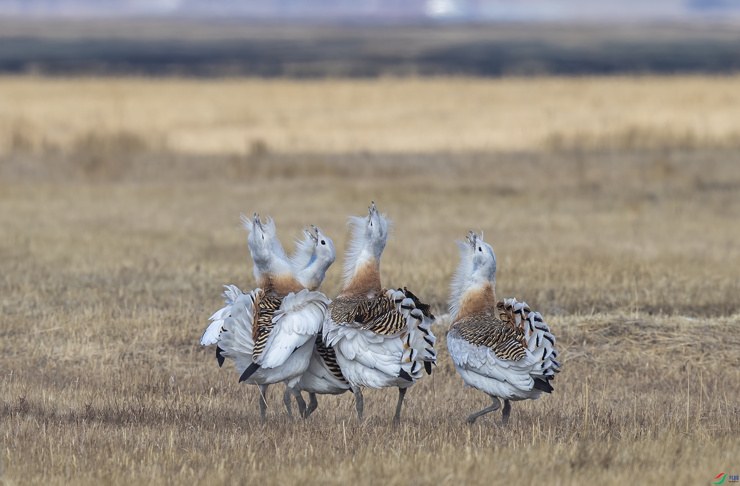 AC3I6740 ����.jpg