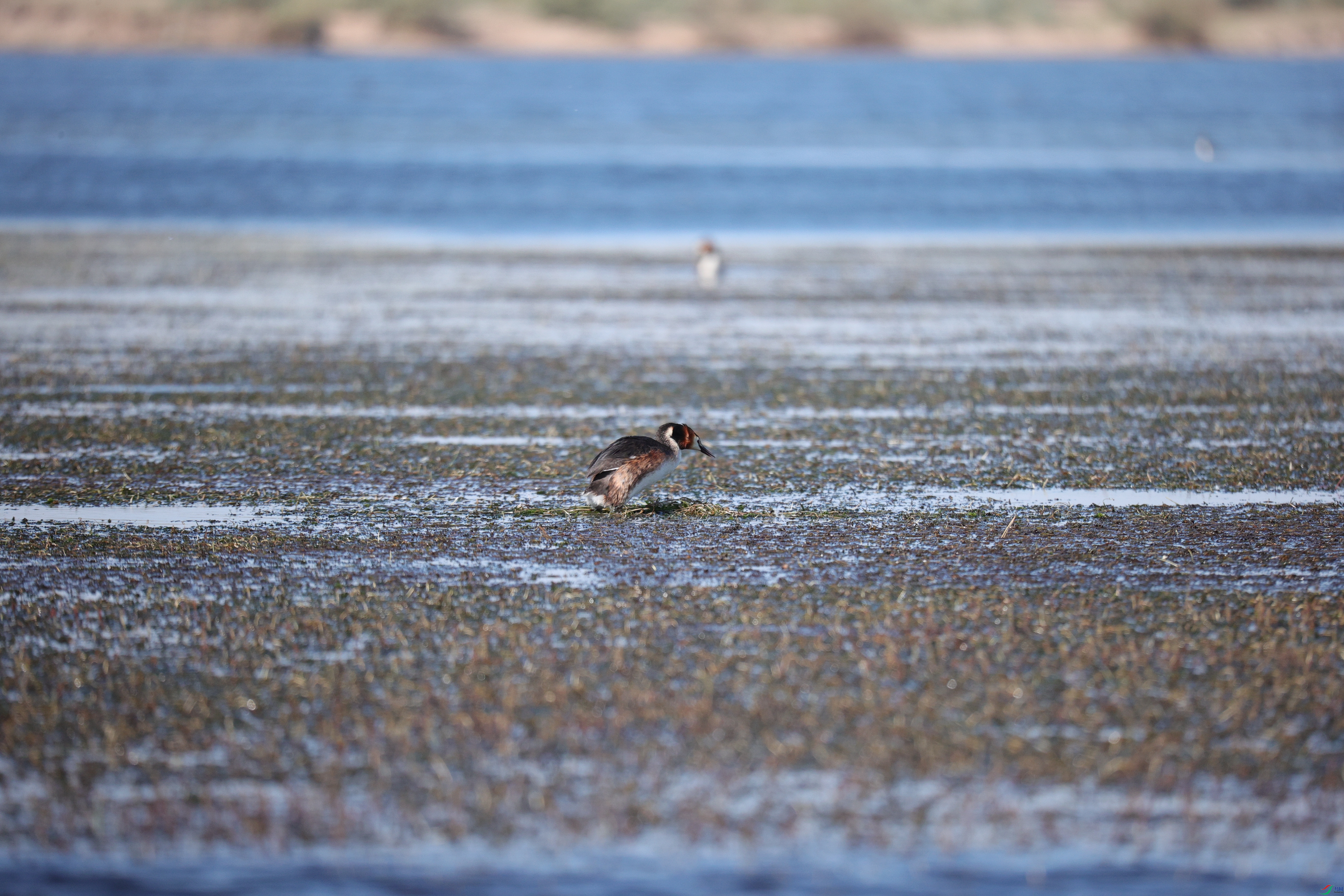 ��ͷ����02