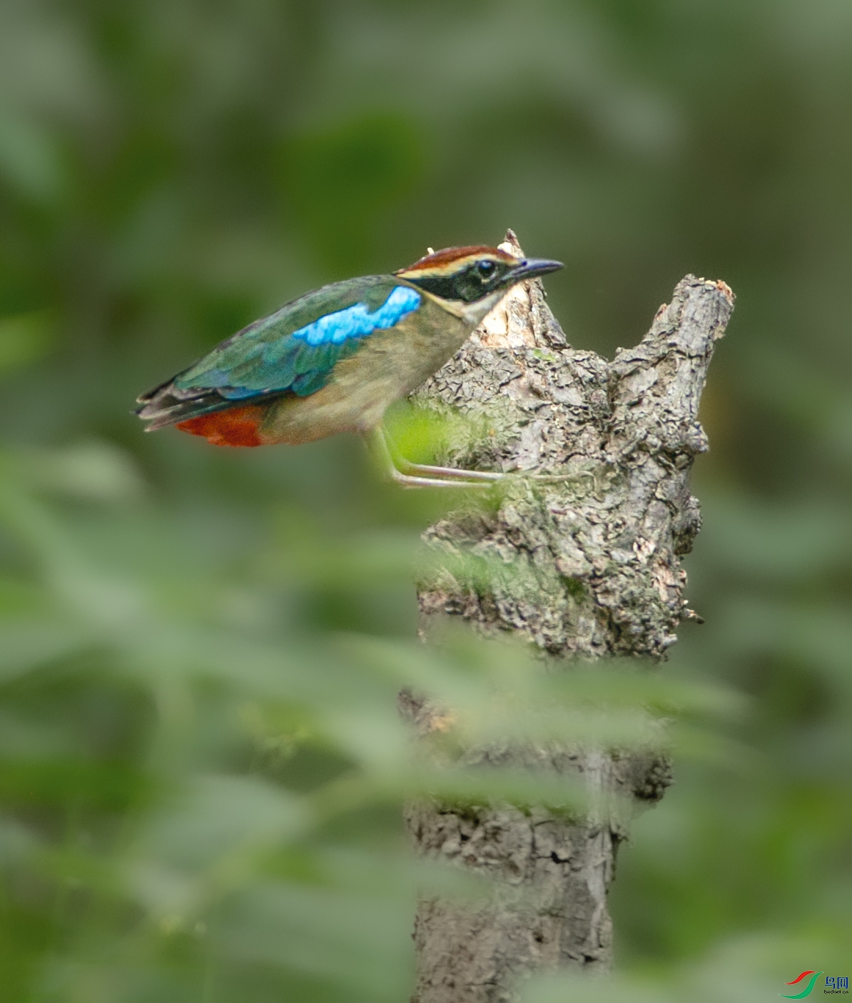 673A1189 ����.jpg