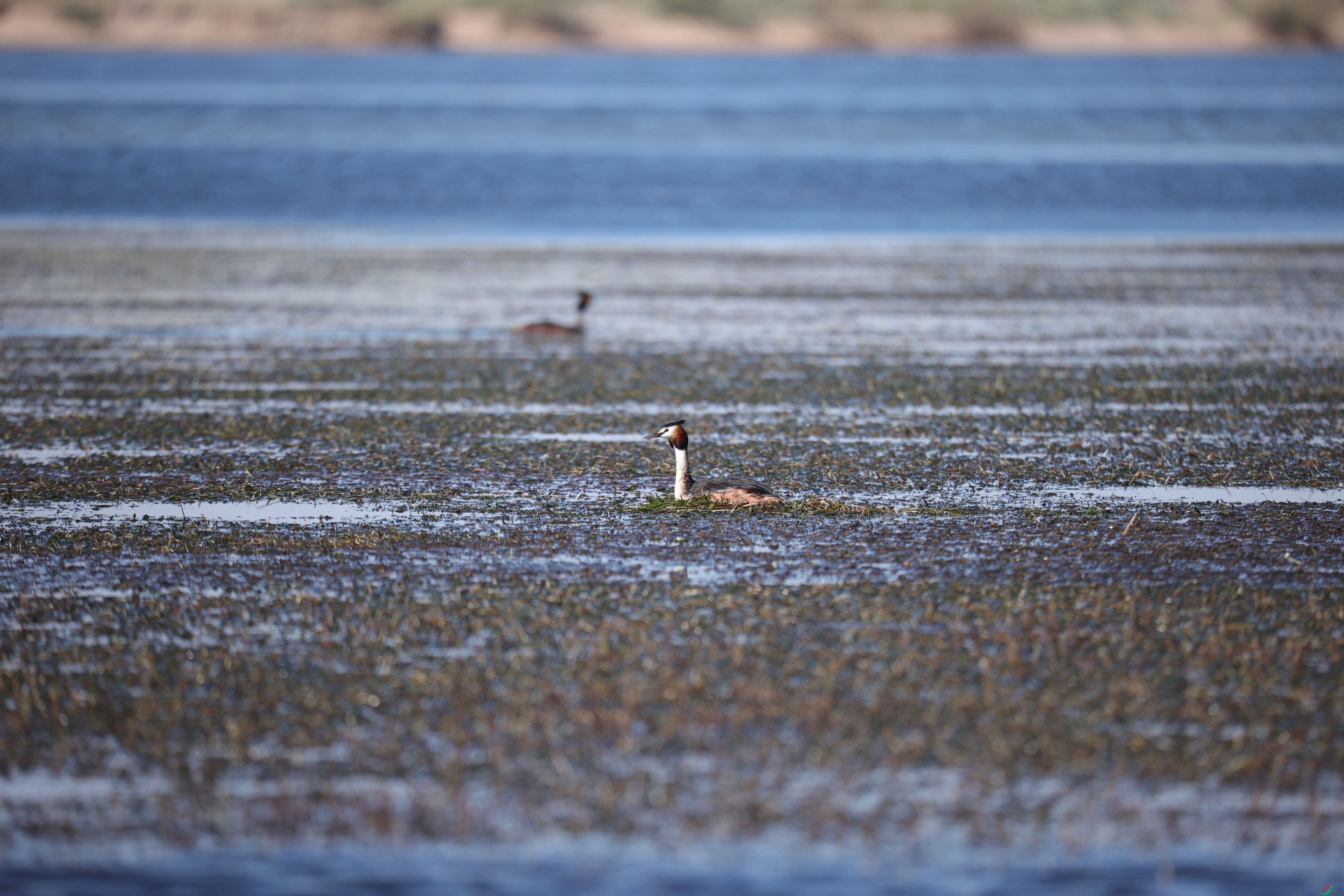 ��ͷ����18