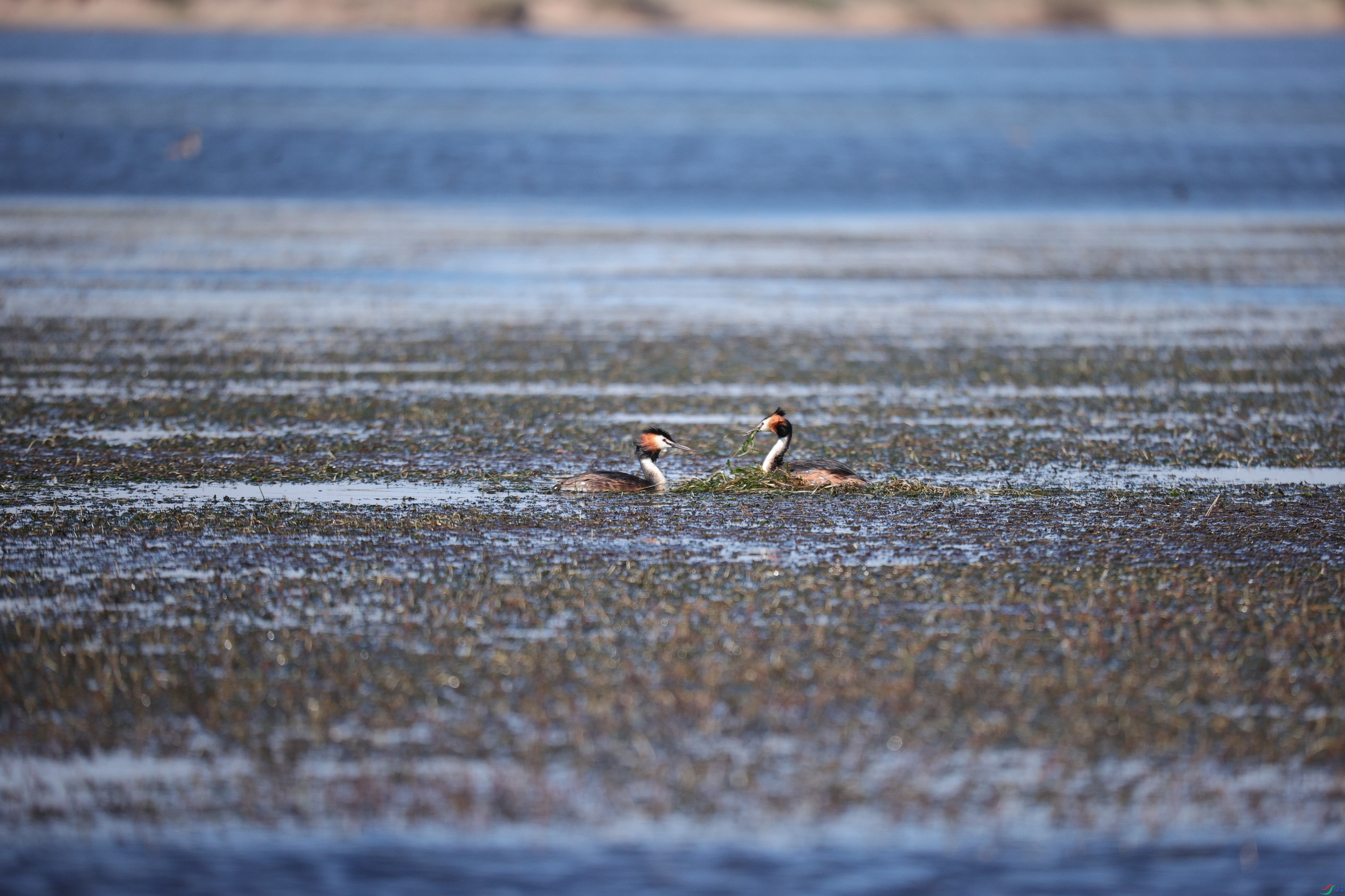 ��ͷ����23