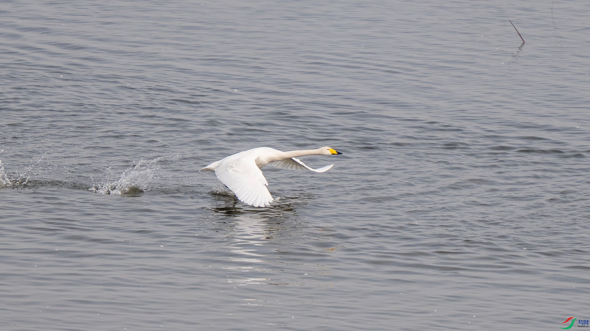 DSC07669 ����.jpg