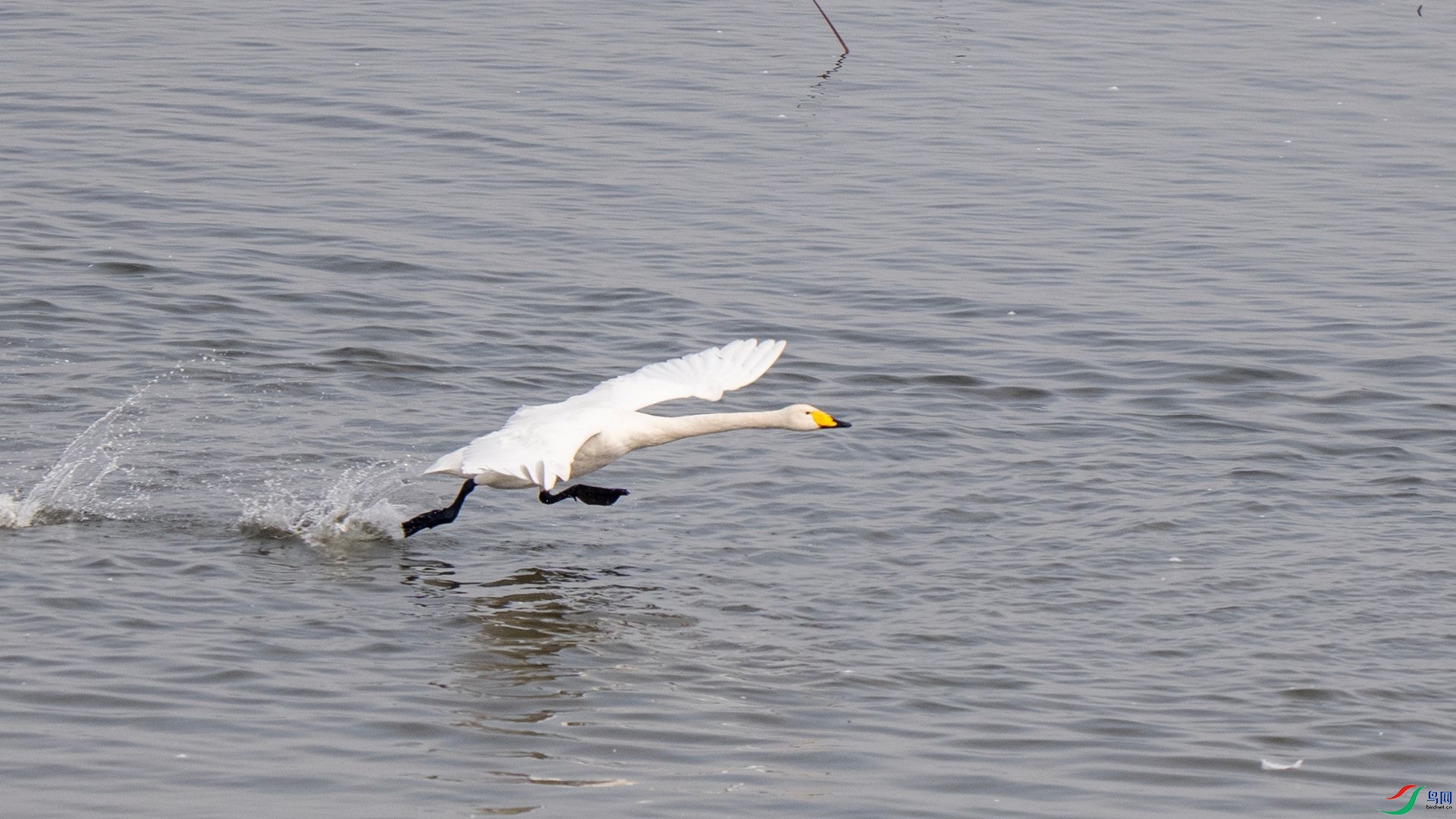 DSC07676 ����.jpg