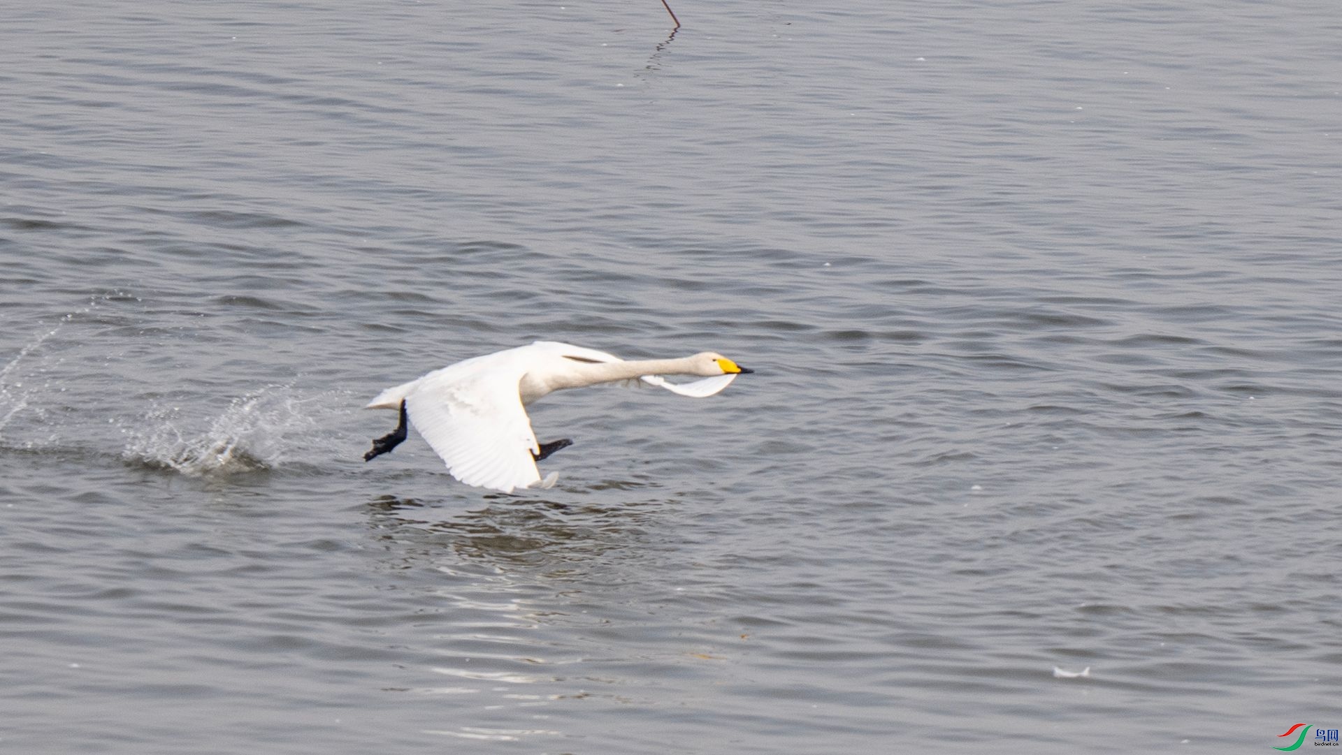 DSC07677 ����.jpg