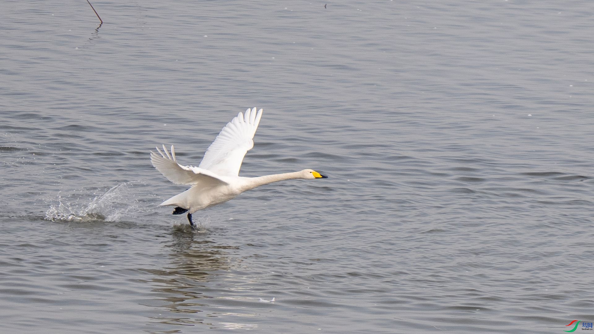 DSC07683 ����.jpg