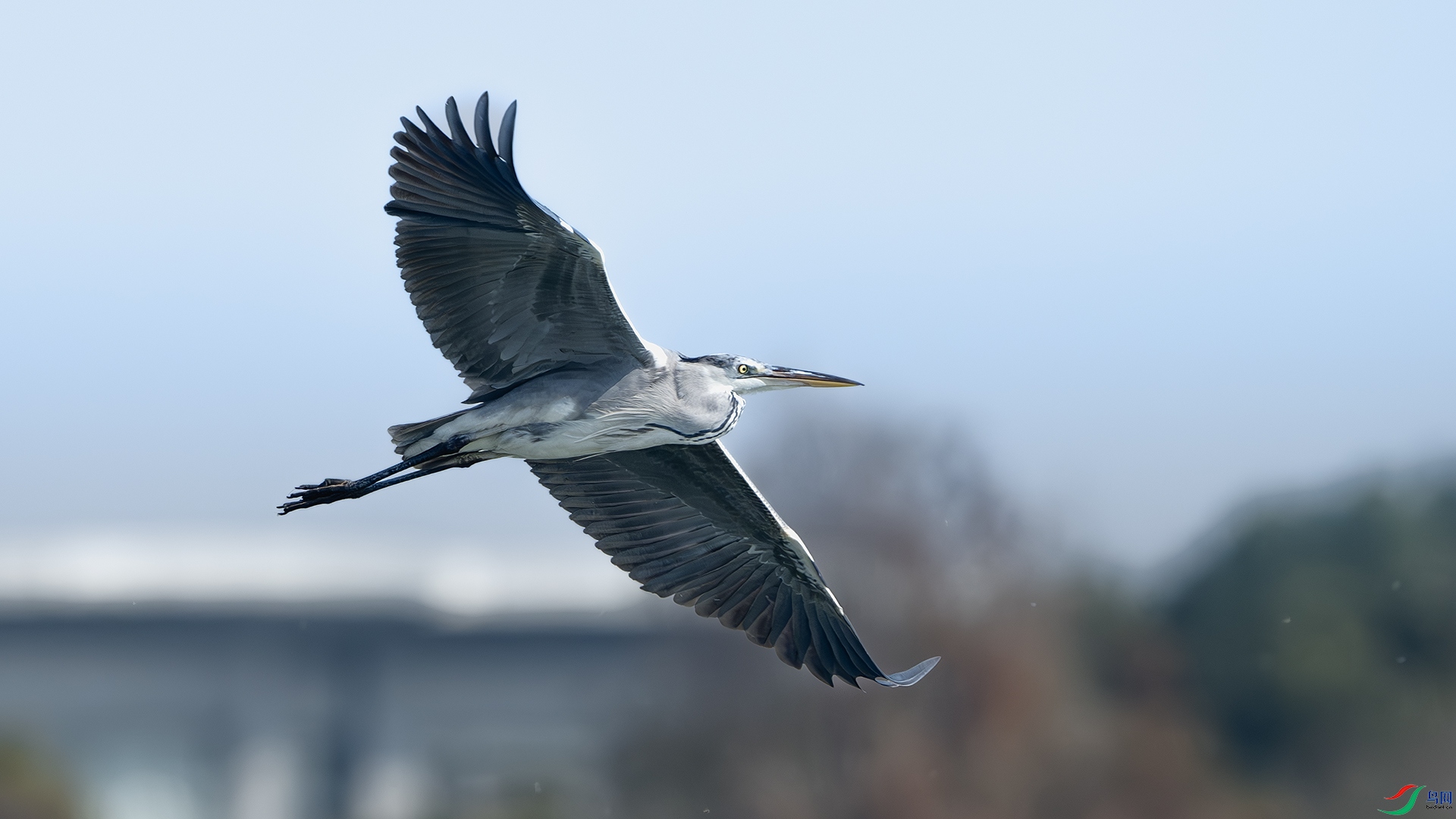 DSC_7121-����ǿ-NR ����.jpg