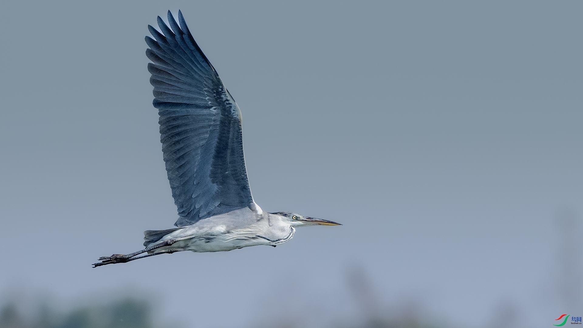 DSC_7126 ����.jpg