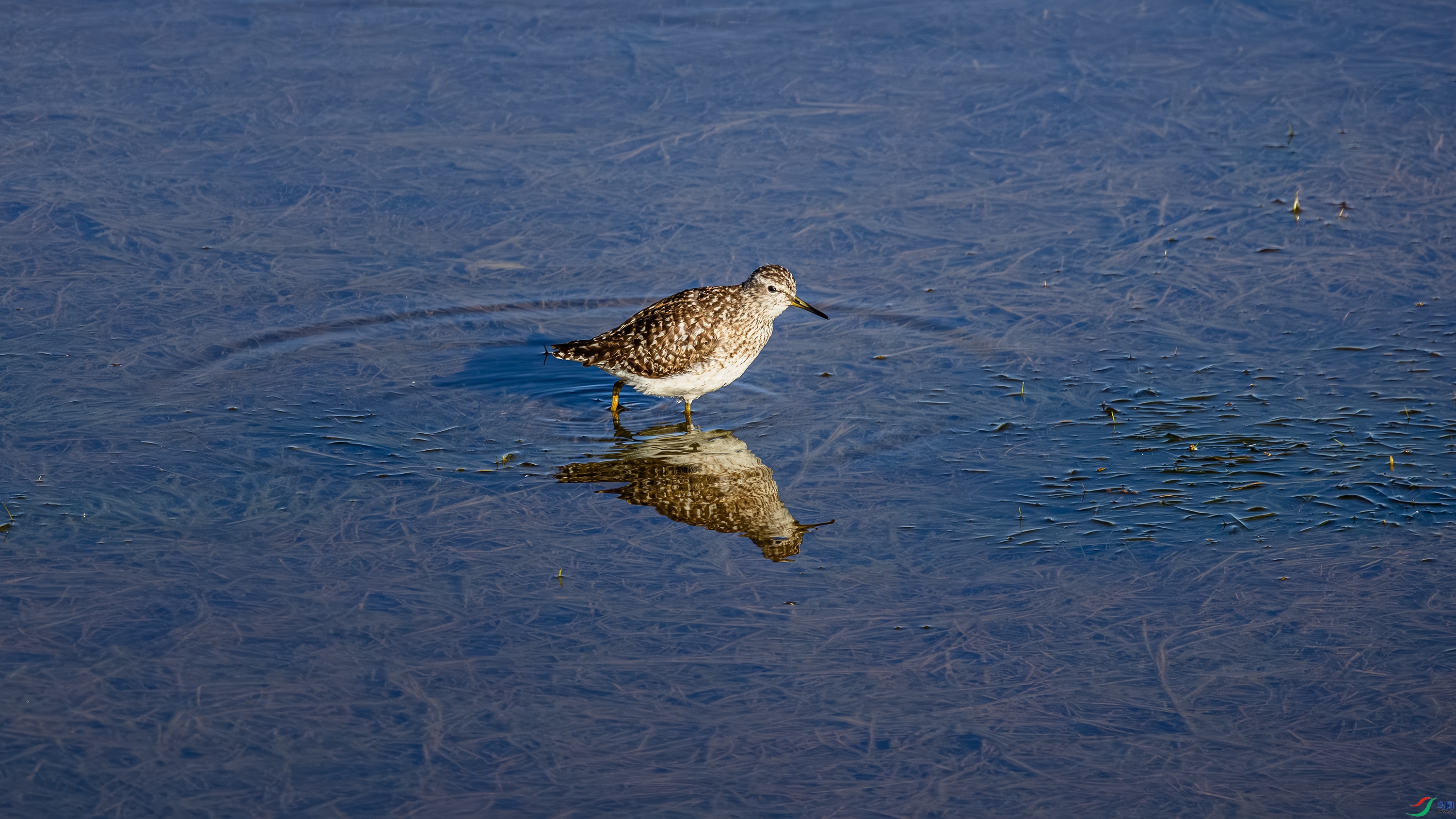 7X5A1099-���� 3322.jpg