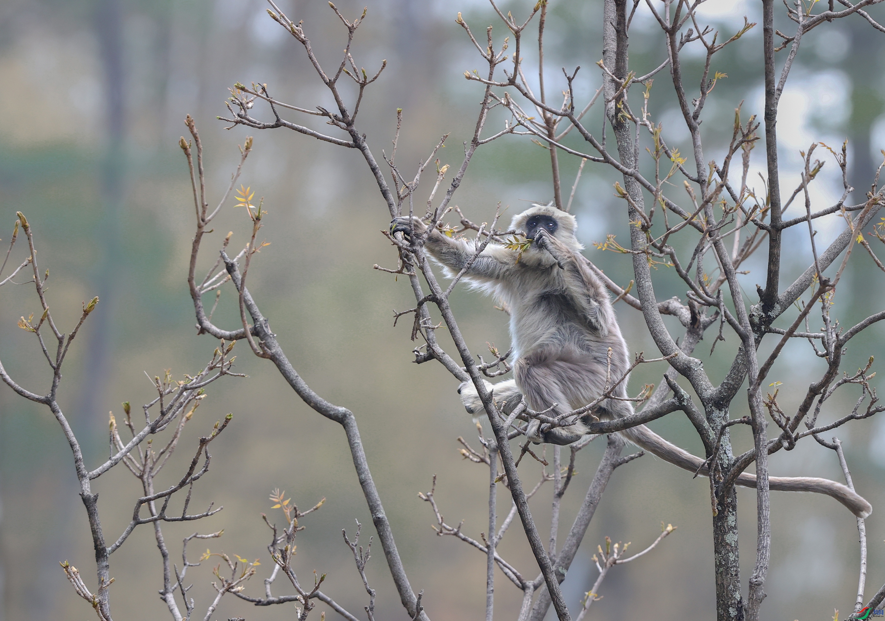 A15I1126 ����.jpg