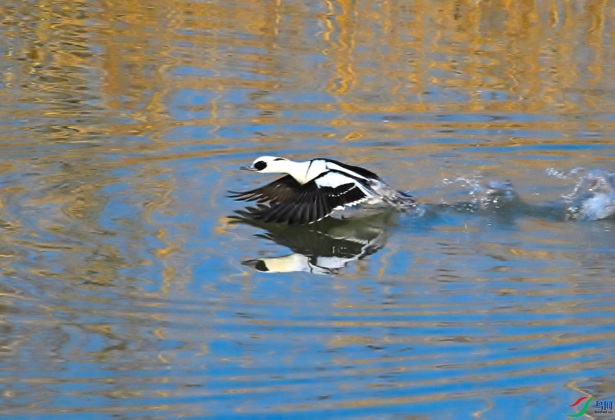 DSC_2769.JPG
