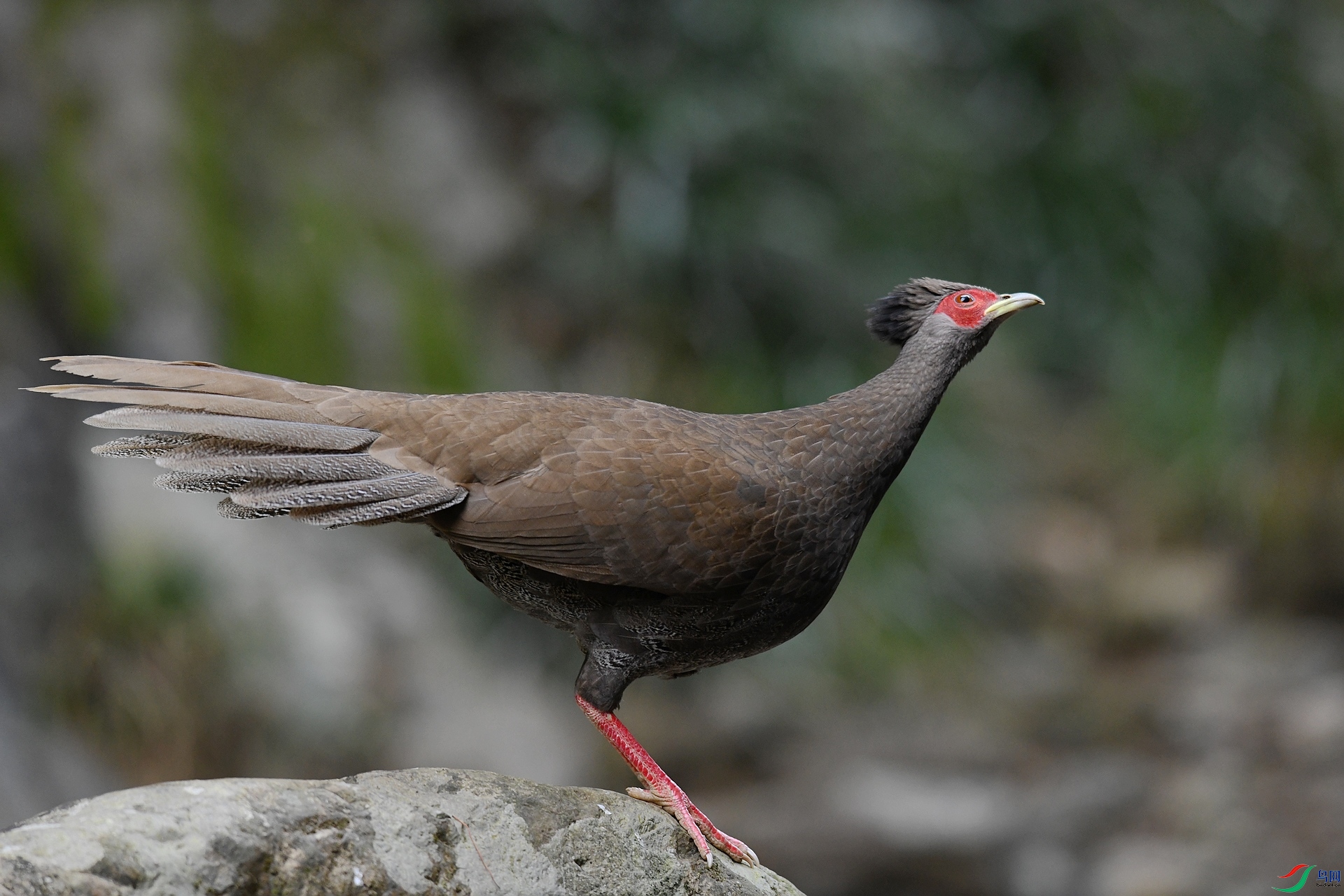 DSC_6187.jpg
