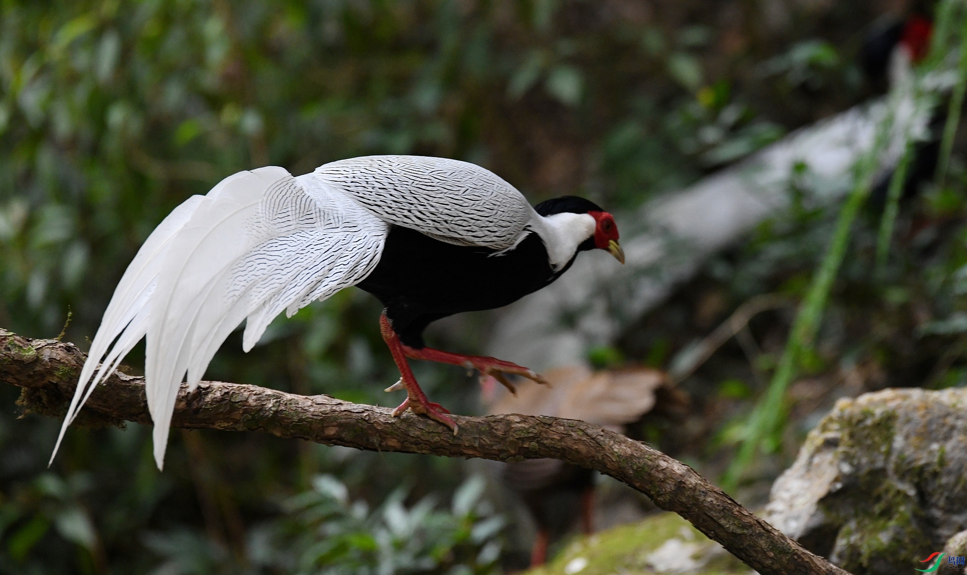 DSC_6046.jpg
