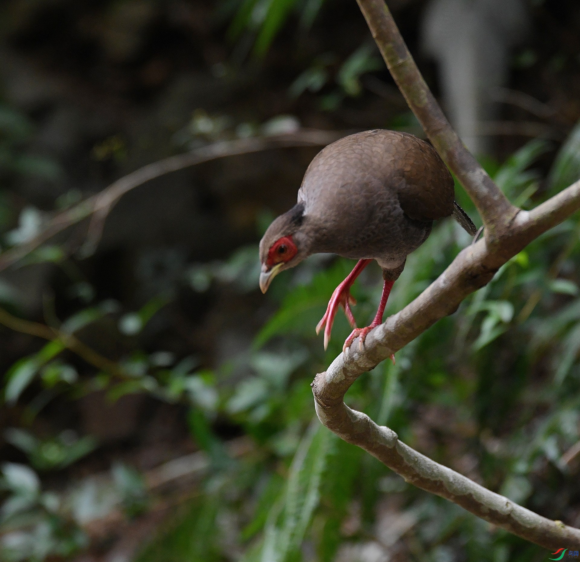 DSC_6058.jpg