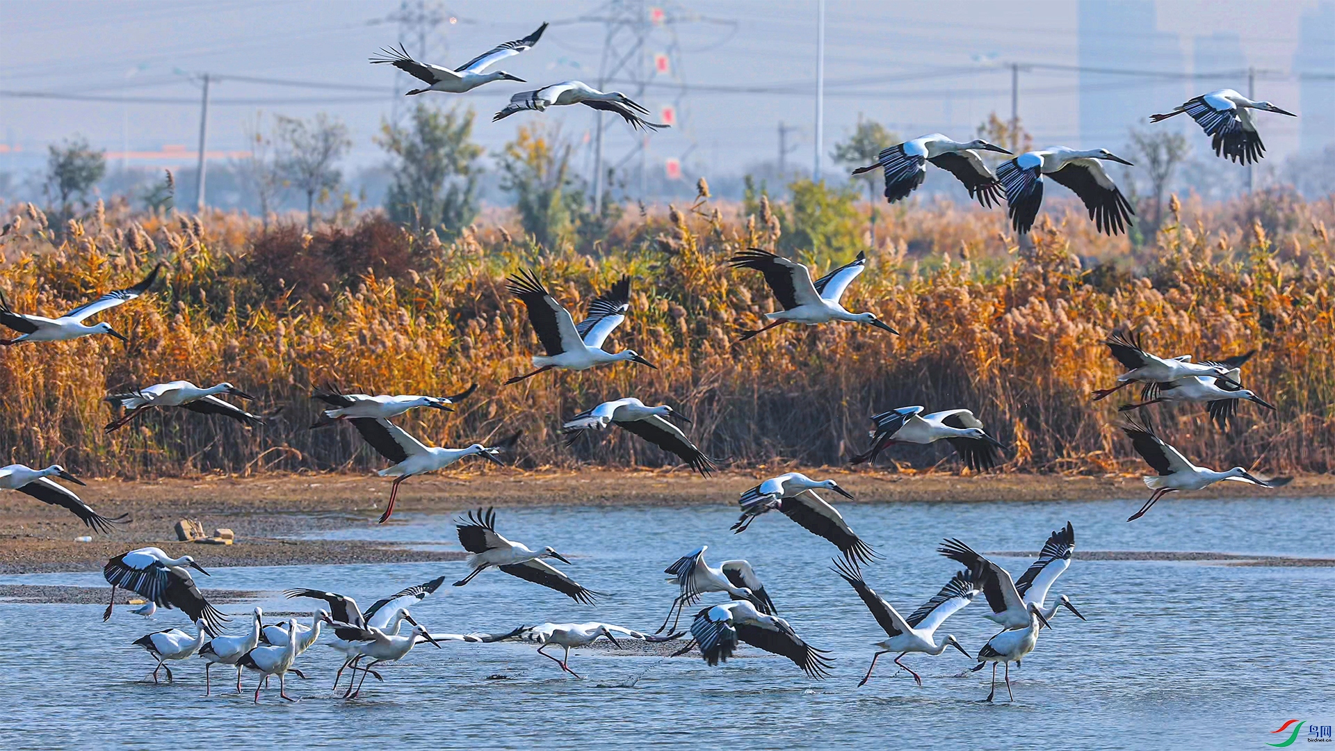 2��26�� -1.jpg