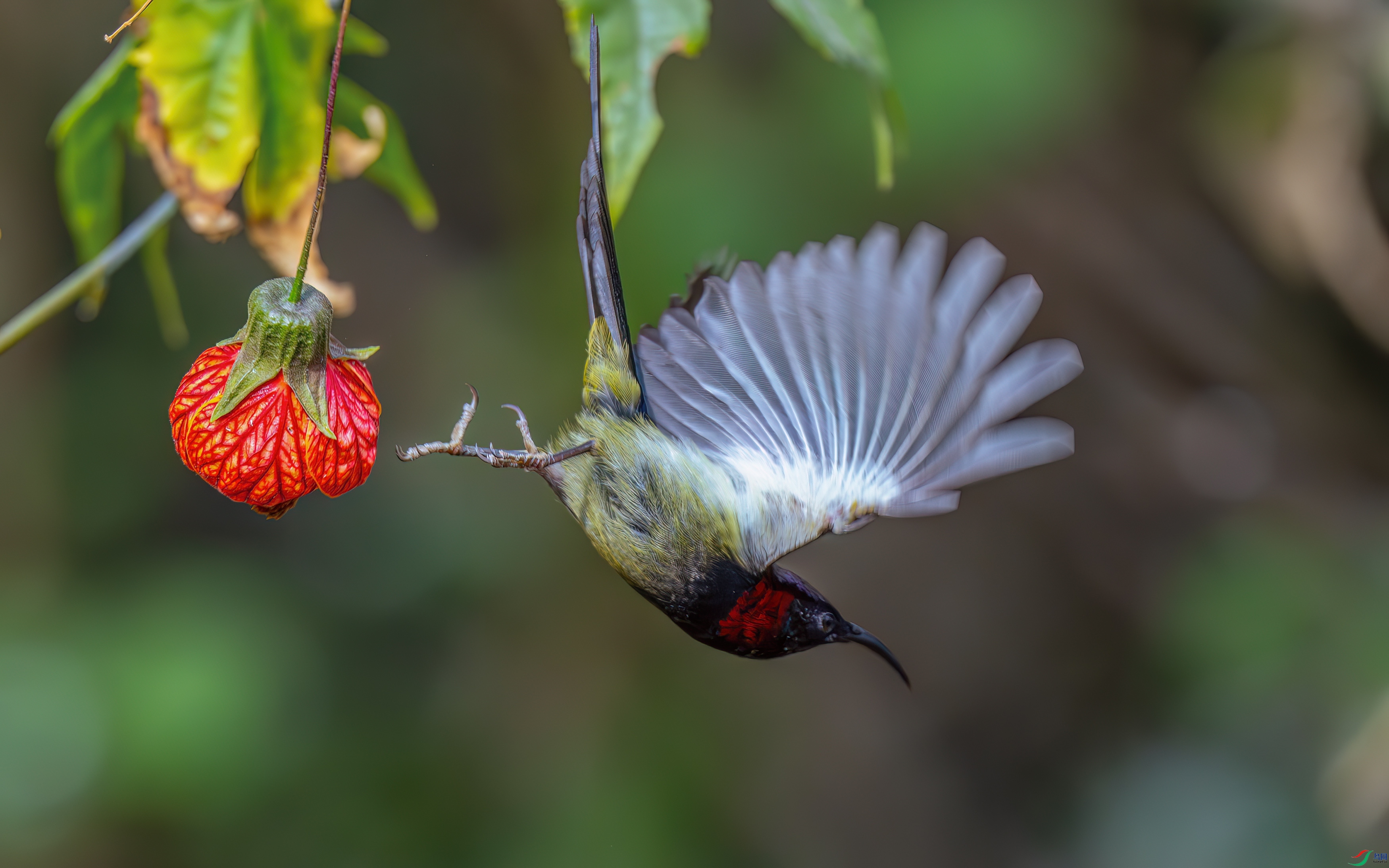 DSC_1063.jpg