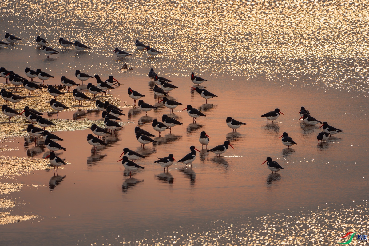 ��������1  (3).jpg