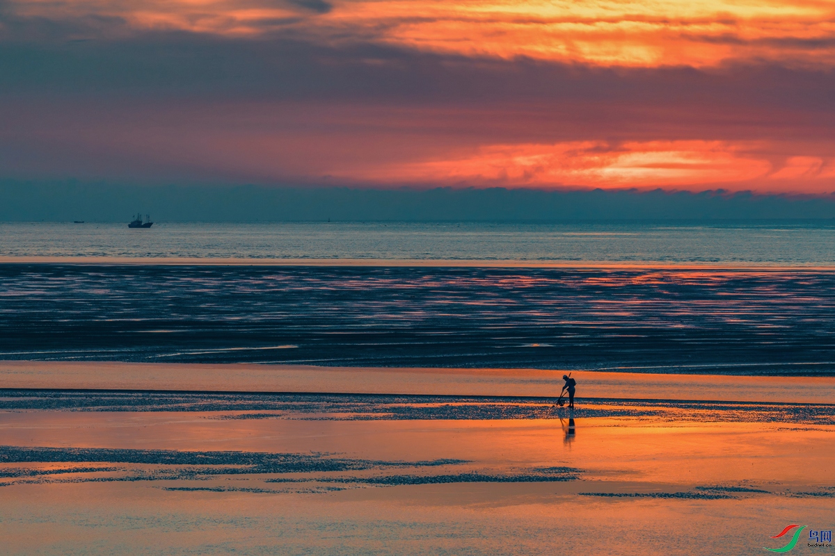 ��������1  (2).jpg