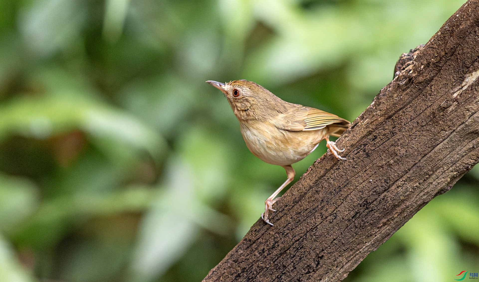 _26_8317-����ǿ-���� ����.jpg