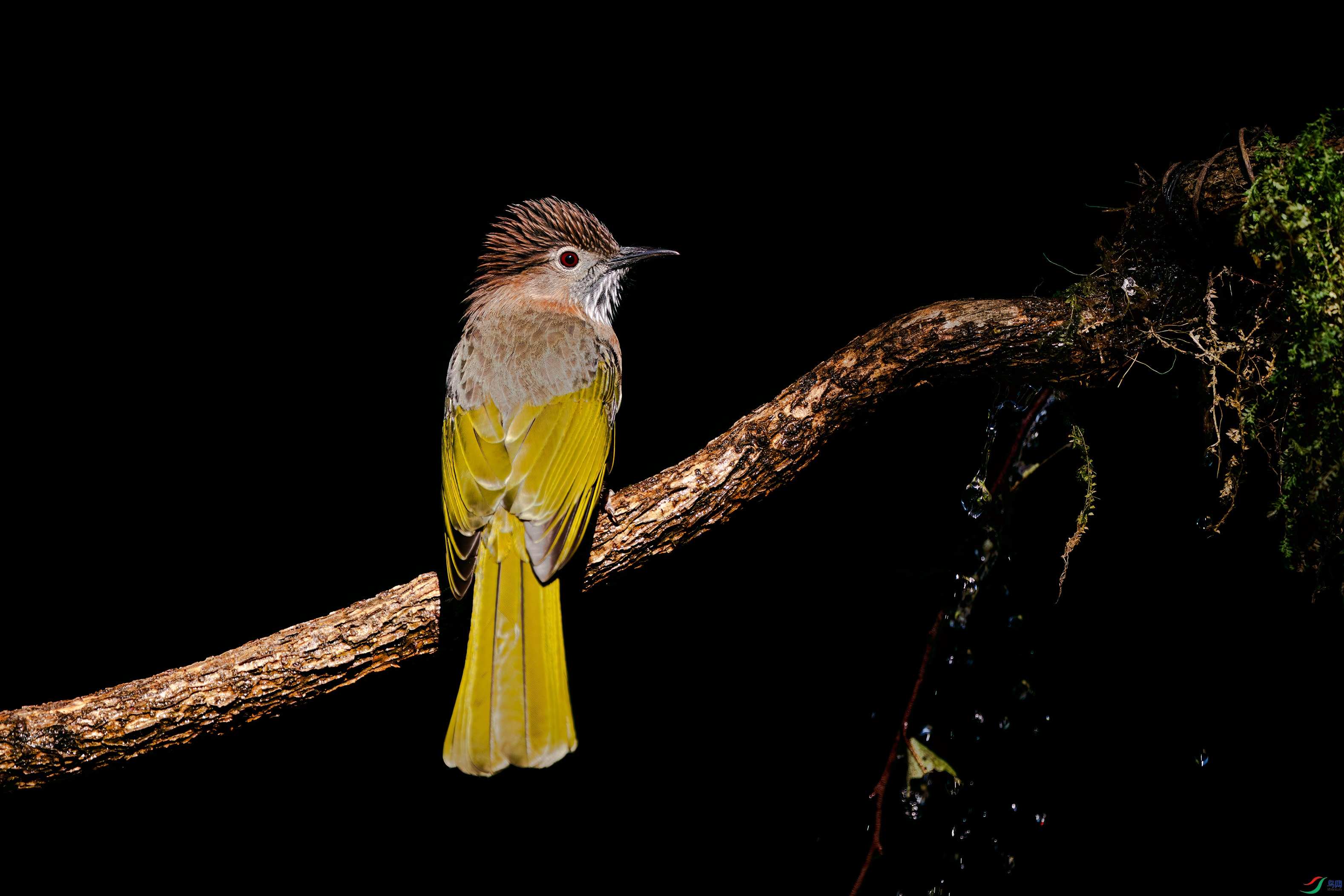 DSC_1456.jpg
