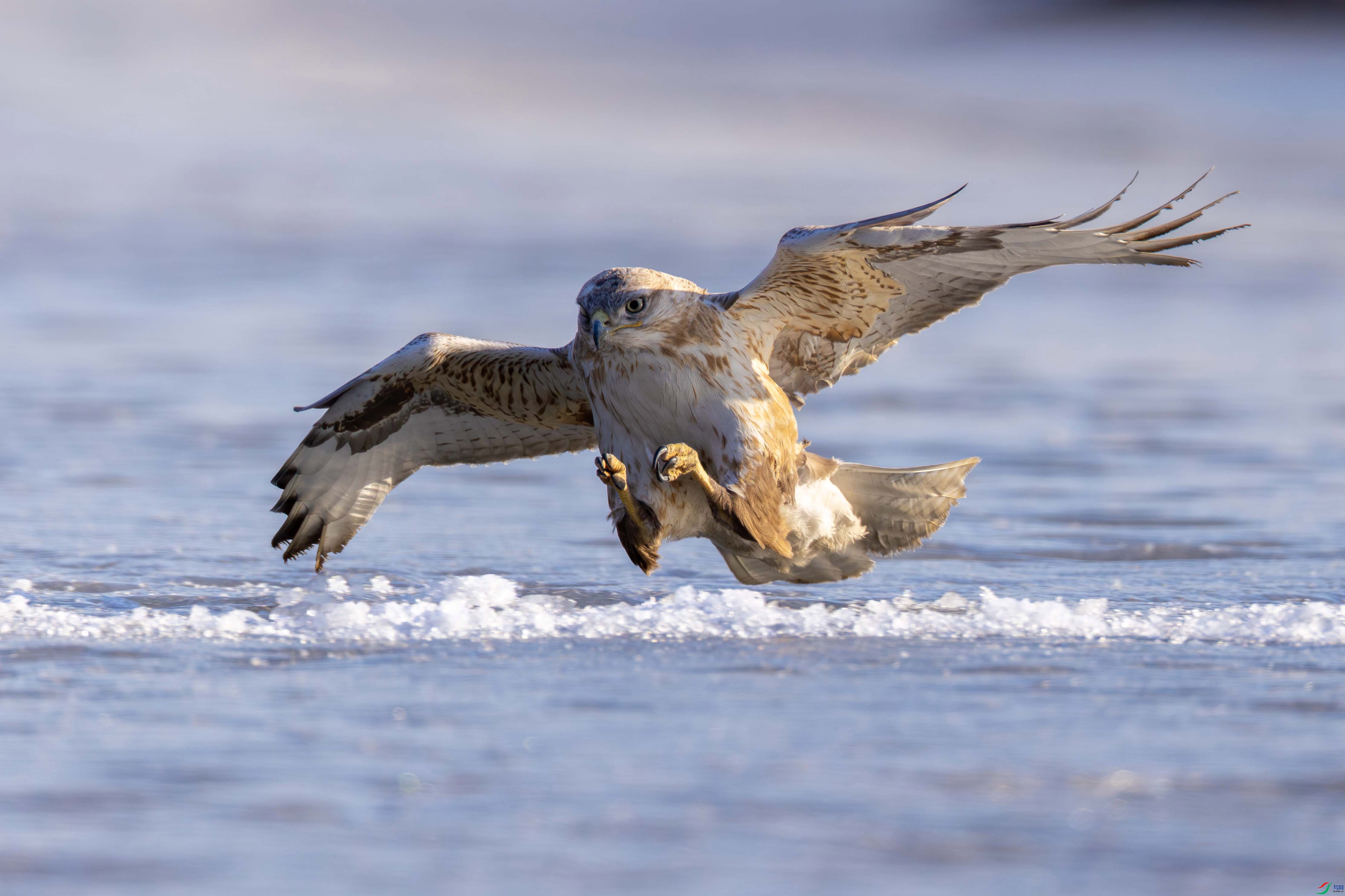 107A1110 ���� 2.jpg