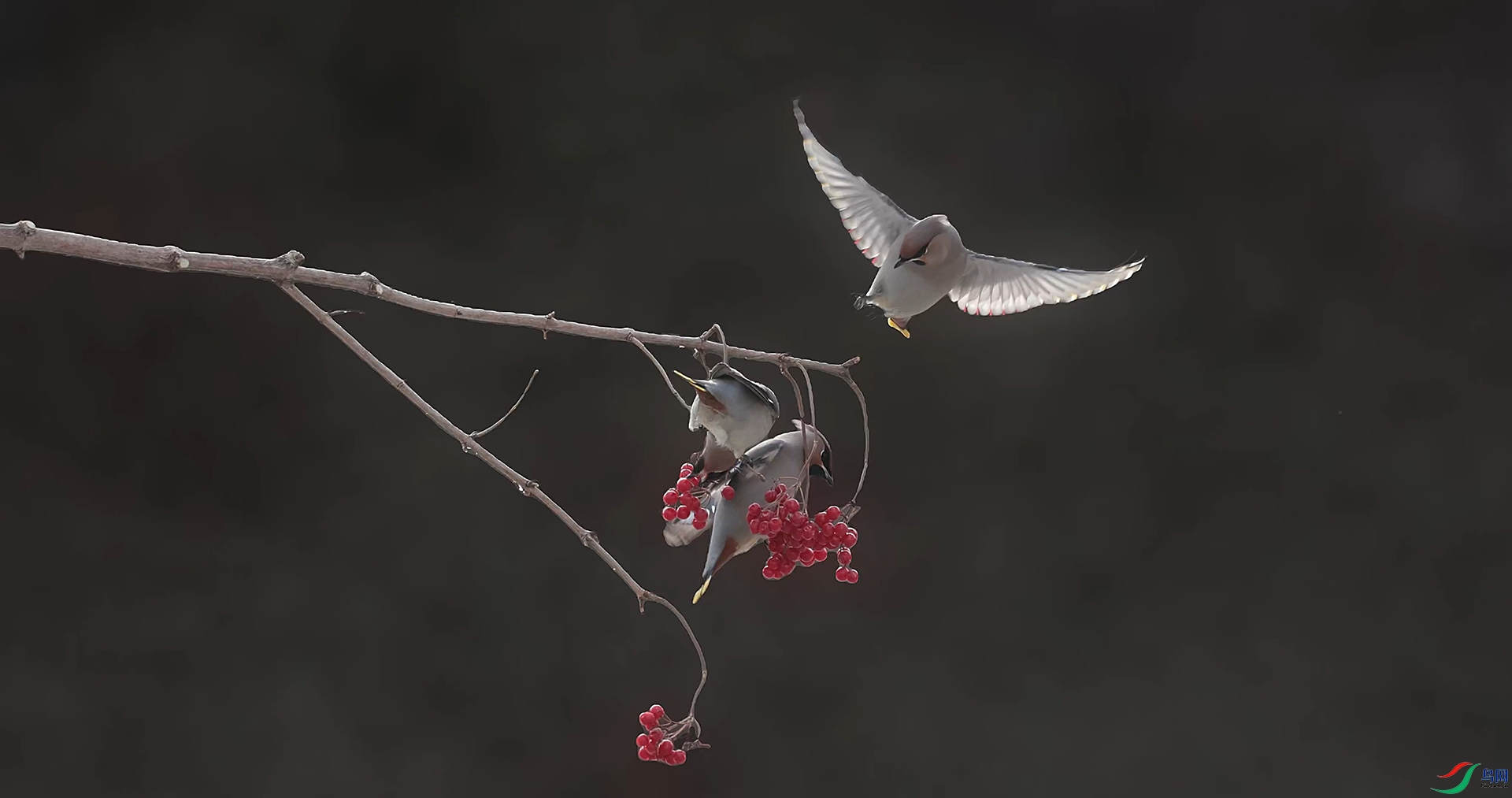 ��֡ 2026-02-26 163005_1.1.5.jpg