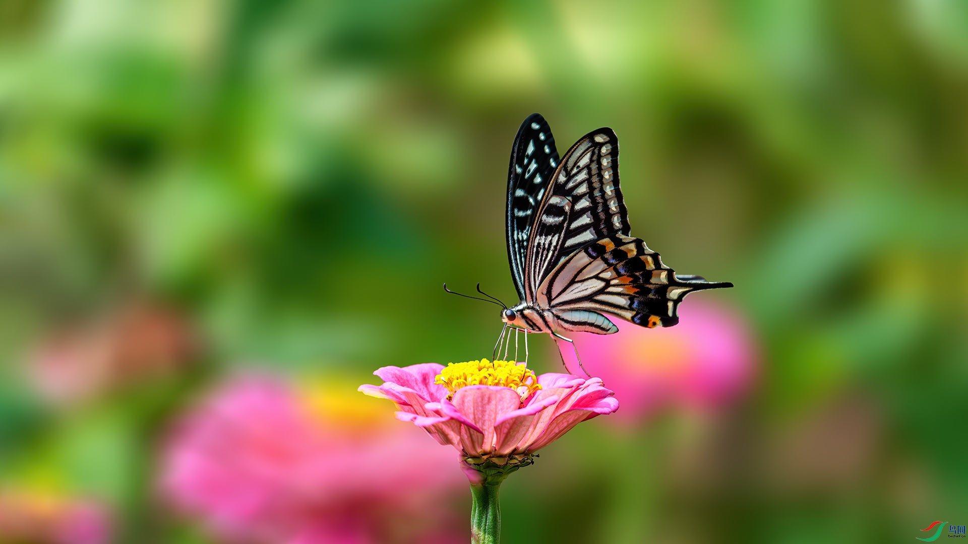 R3B_9367.jpg