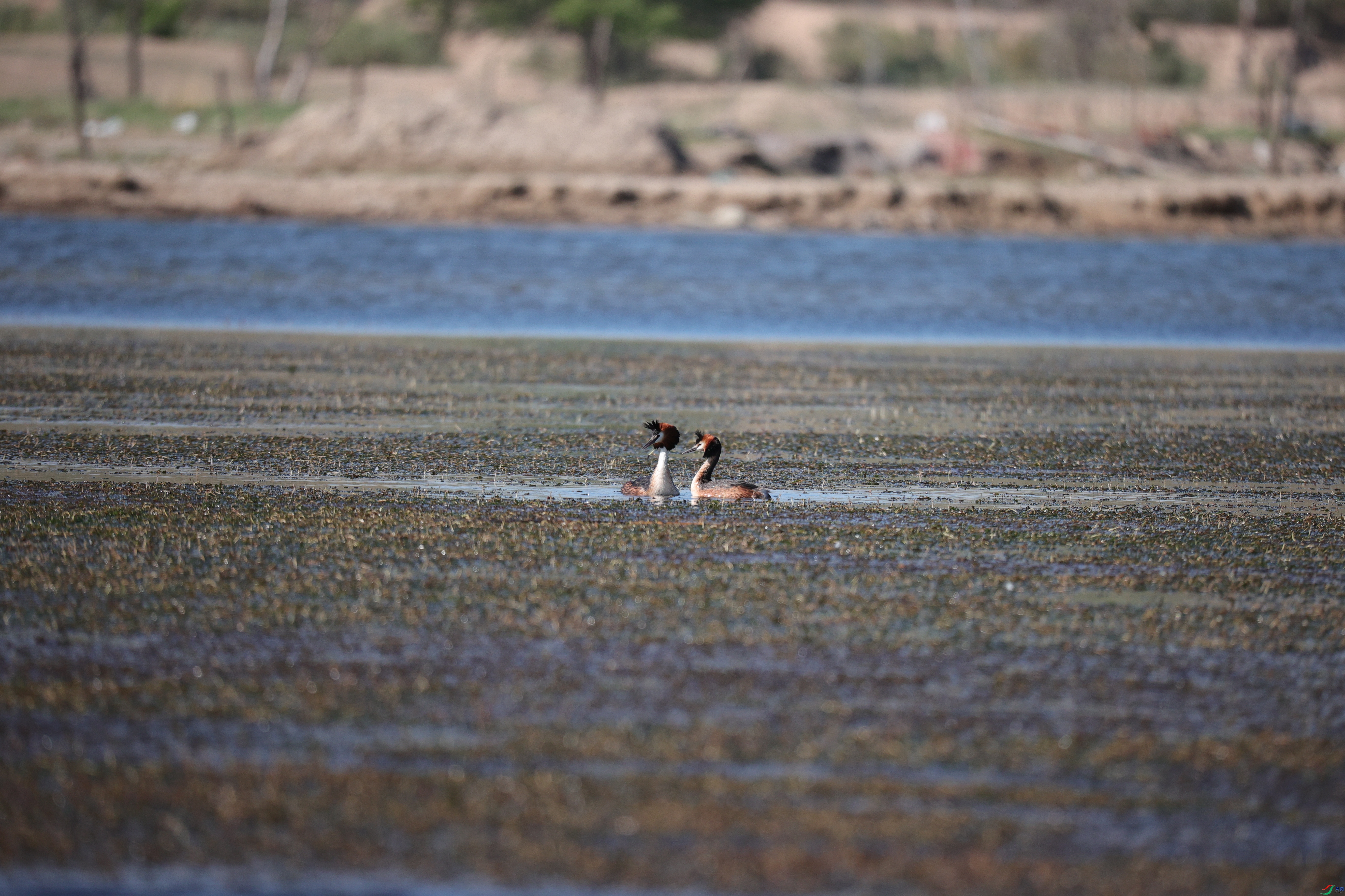 ��ͷ����03