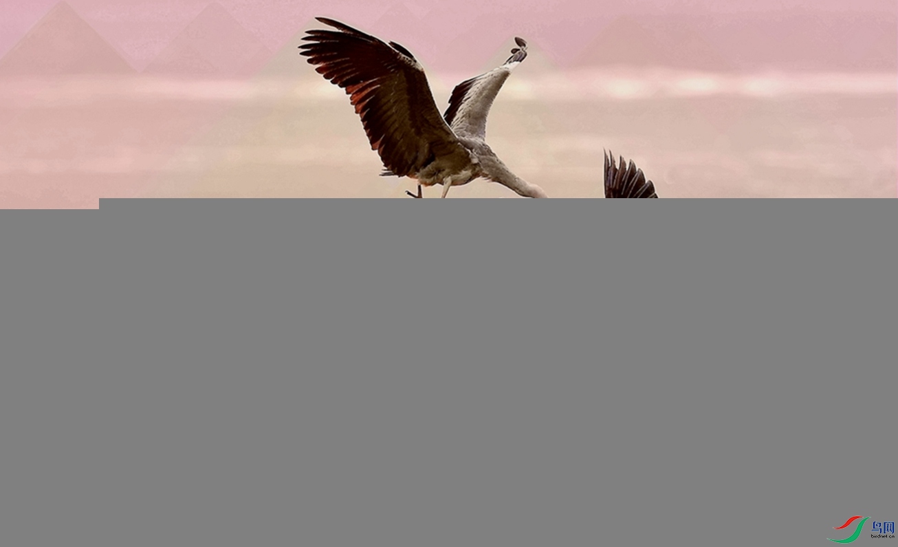 ��ˡ���Ь����