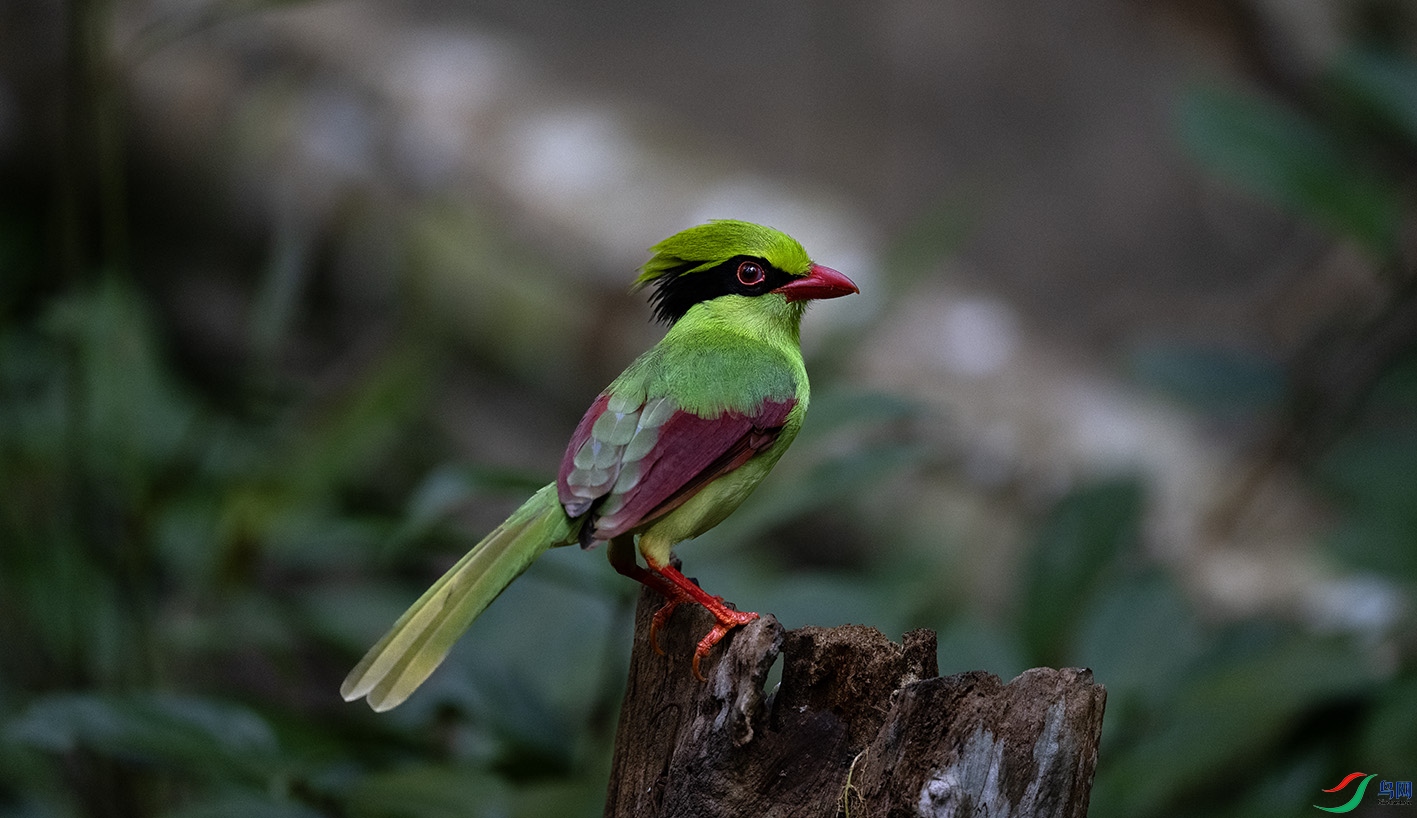 _DSC6989 ����.jpg