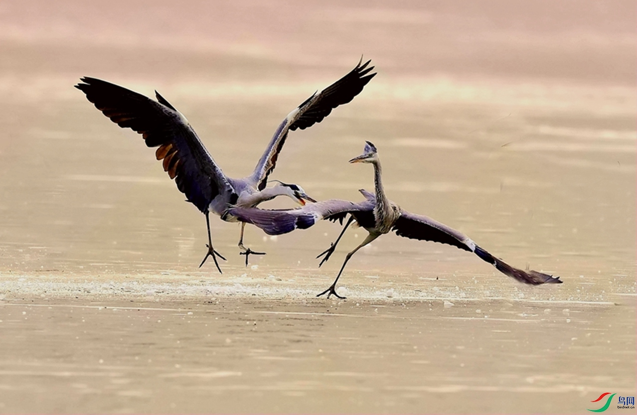 �����˻����У�