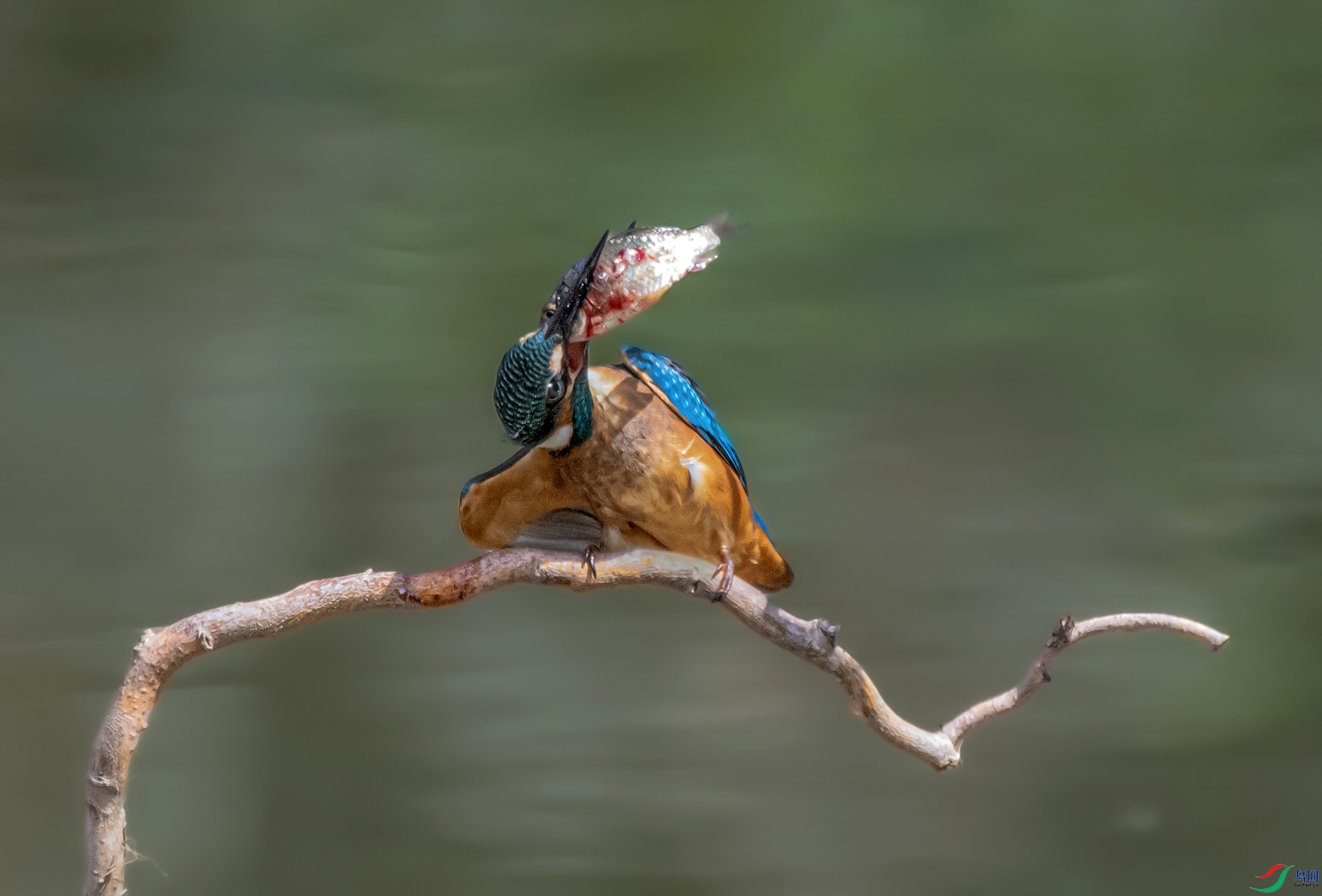 DSC_8322_��ͼ�� ���� 2.jpg