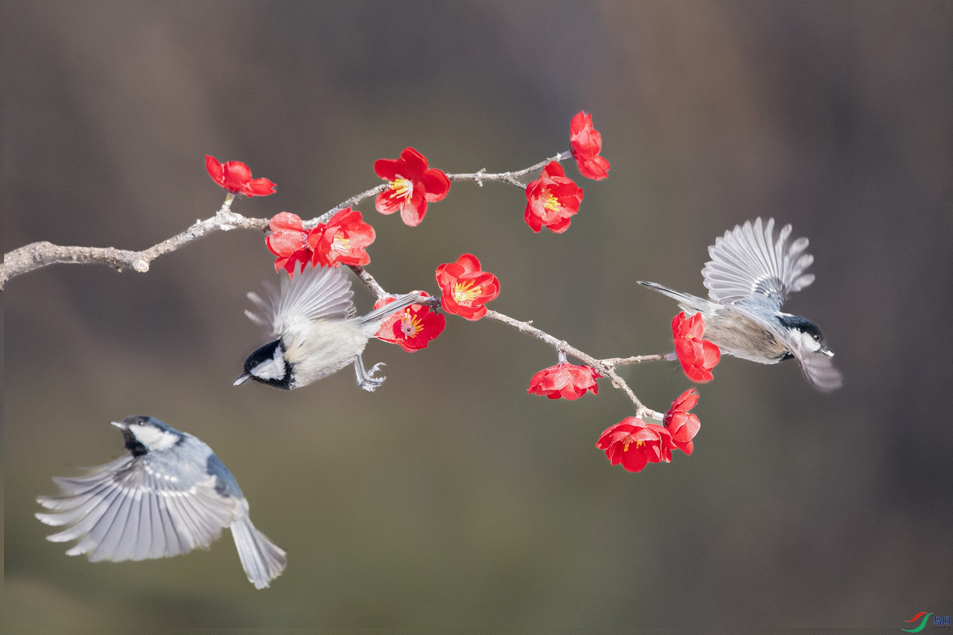 DSC_0486_��ͼ��_��ͼ�� ����.jpg