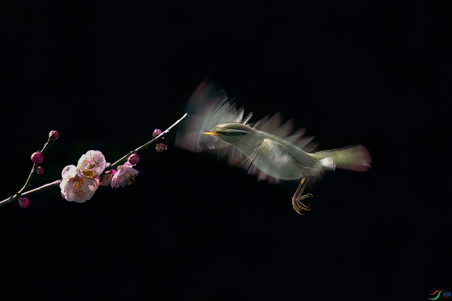 ������ݺ