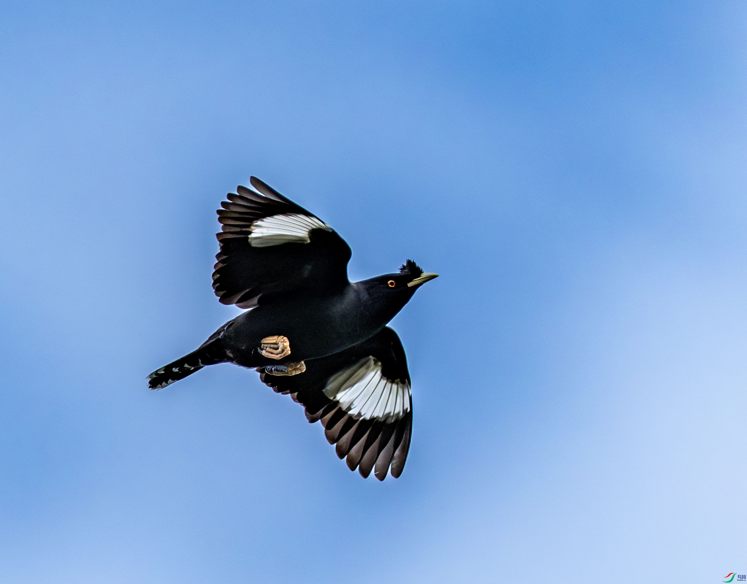 �˸�-01-4.jpg