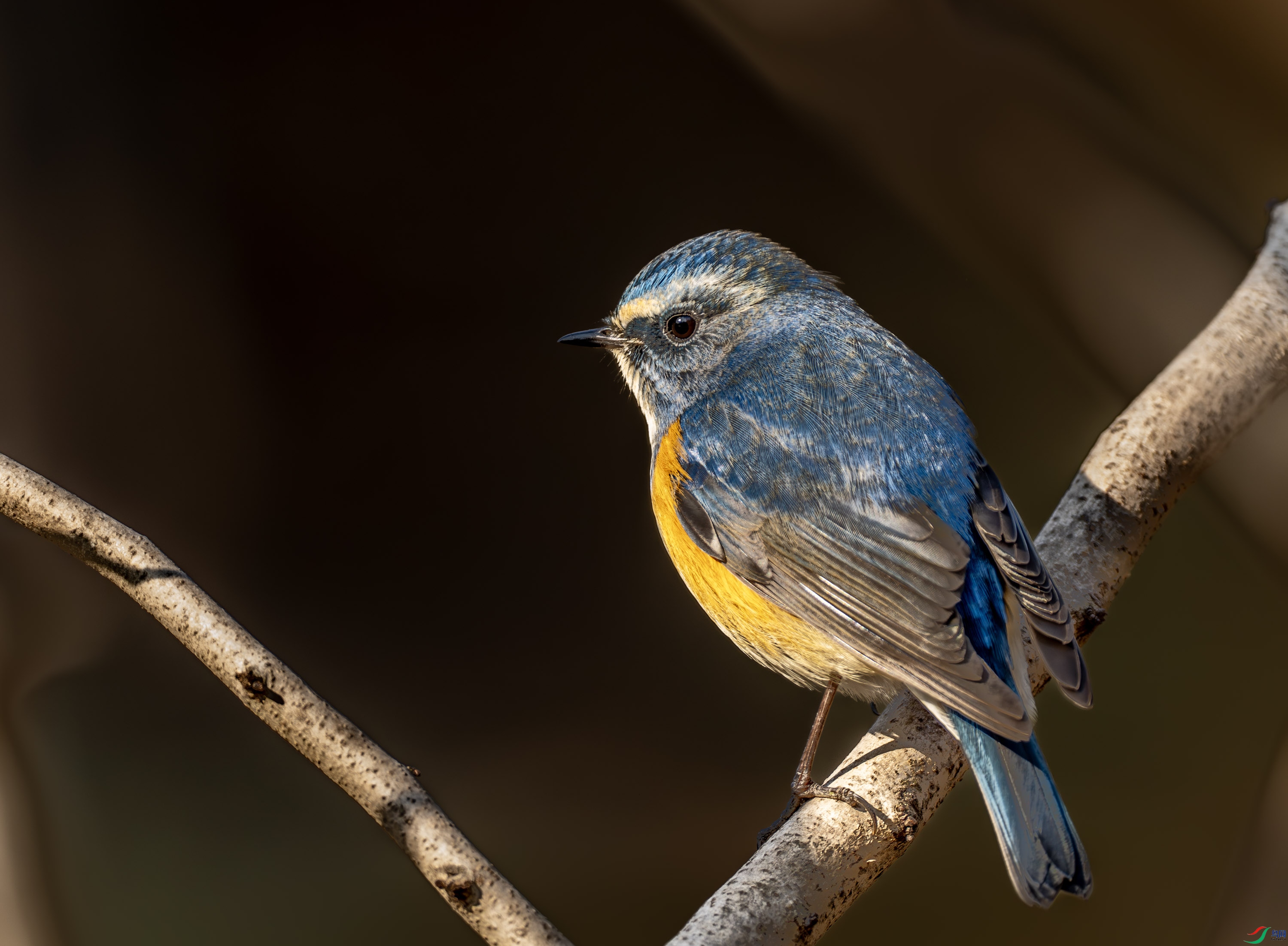 ��в��β�-01 (1 - 7).jpg