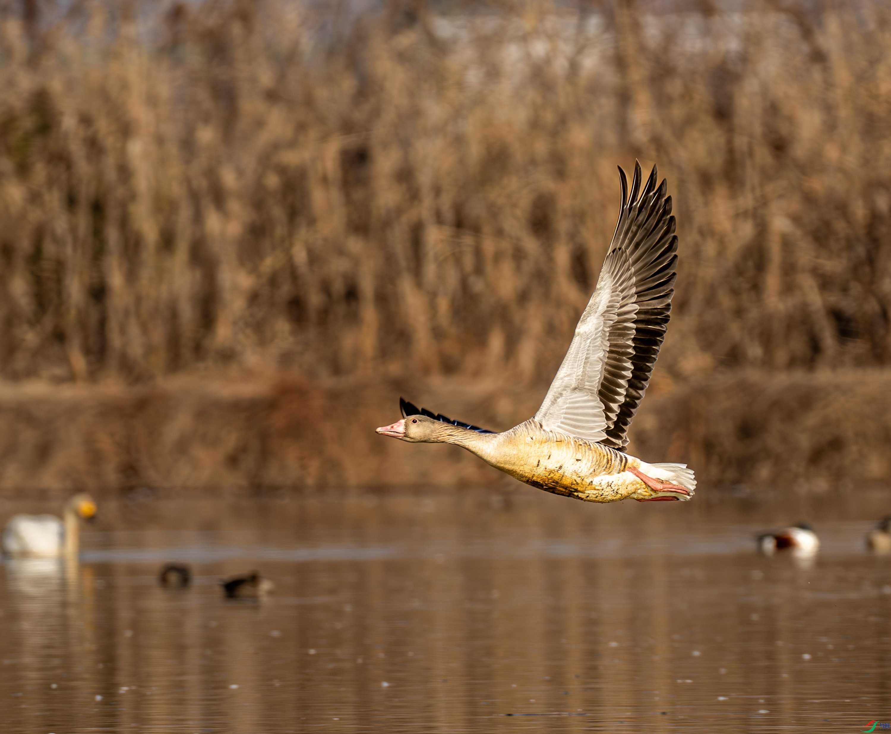 ����-03 (1 - 8).jpg