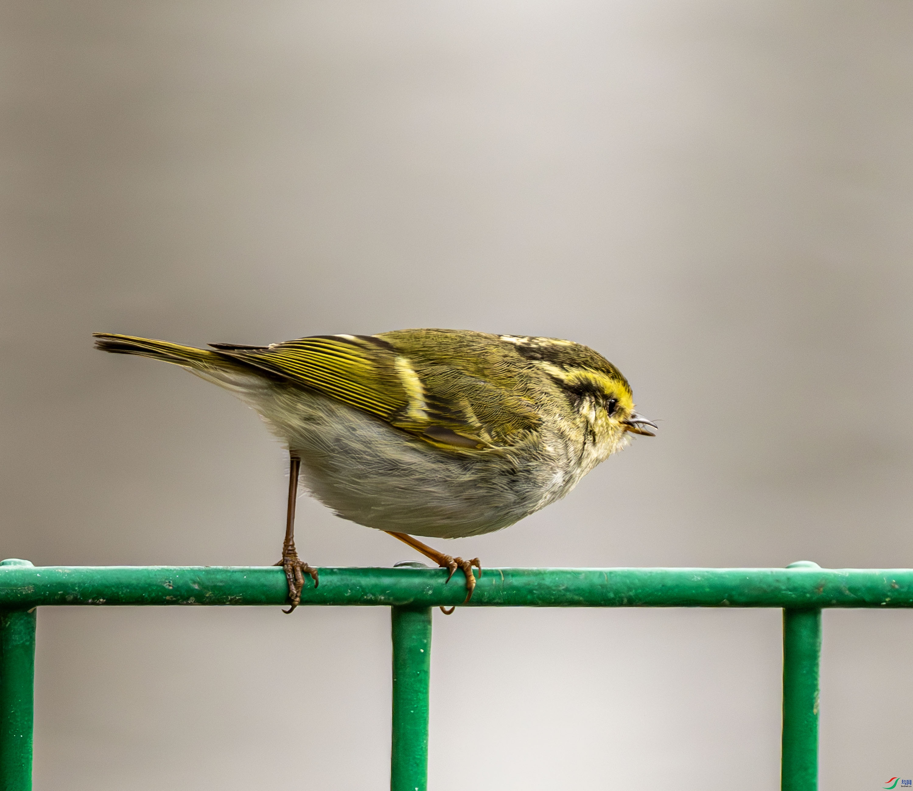 ������ݺ-01 (1 - 7).jpg