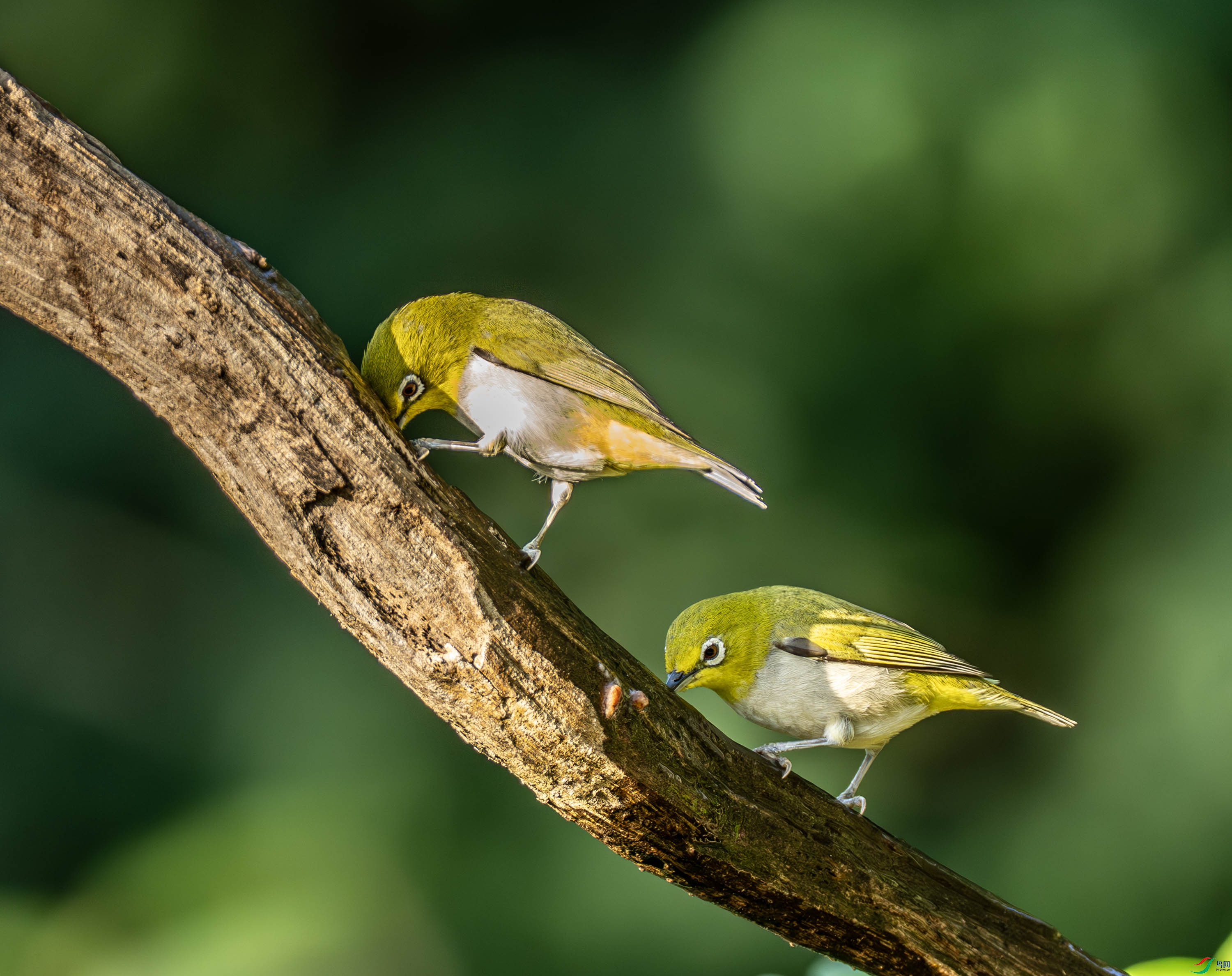 �Ҹ�������-01-2.jpg