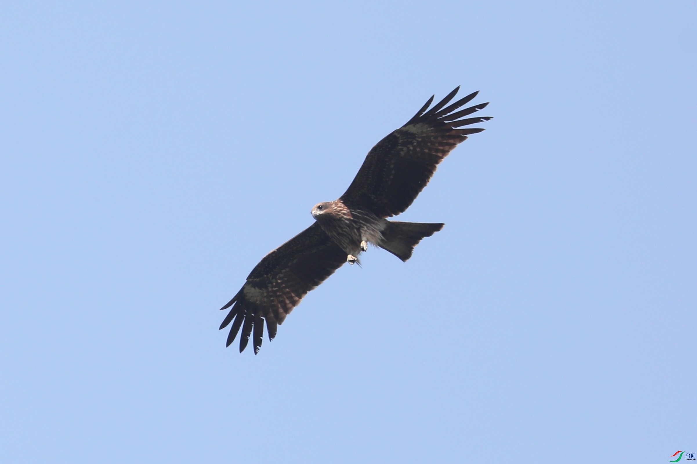 BL7A9991.JPG