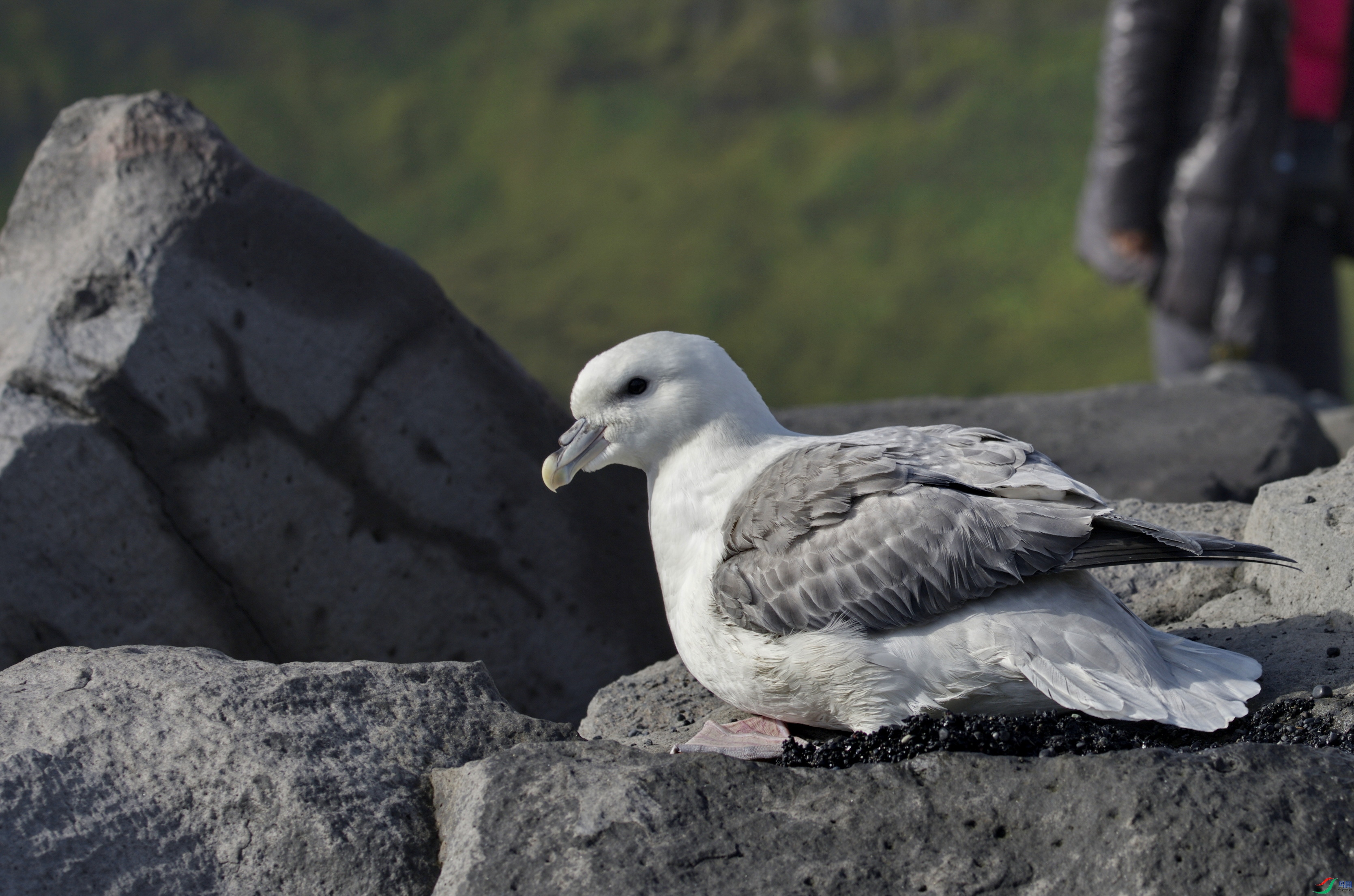 _DSC8690.jpg