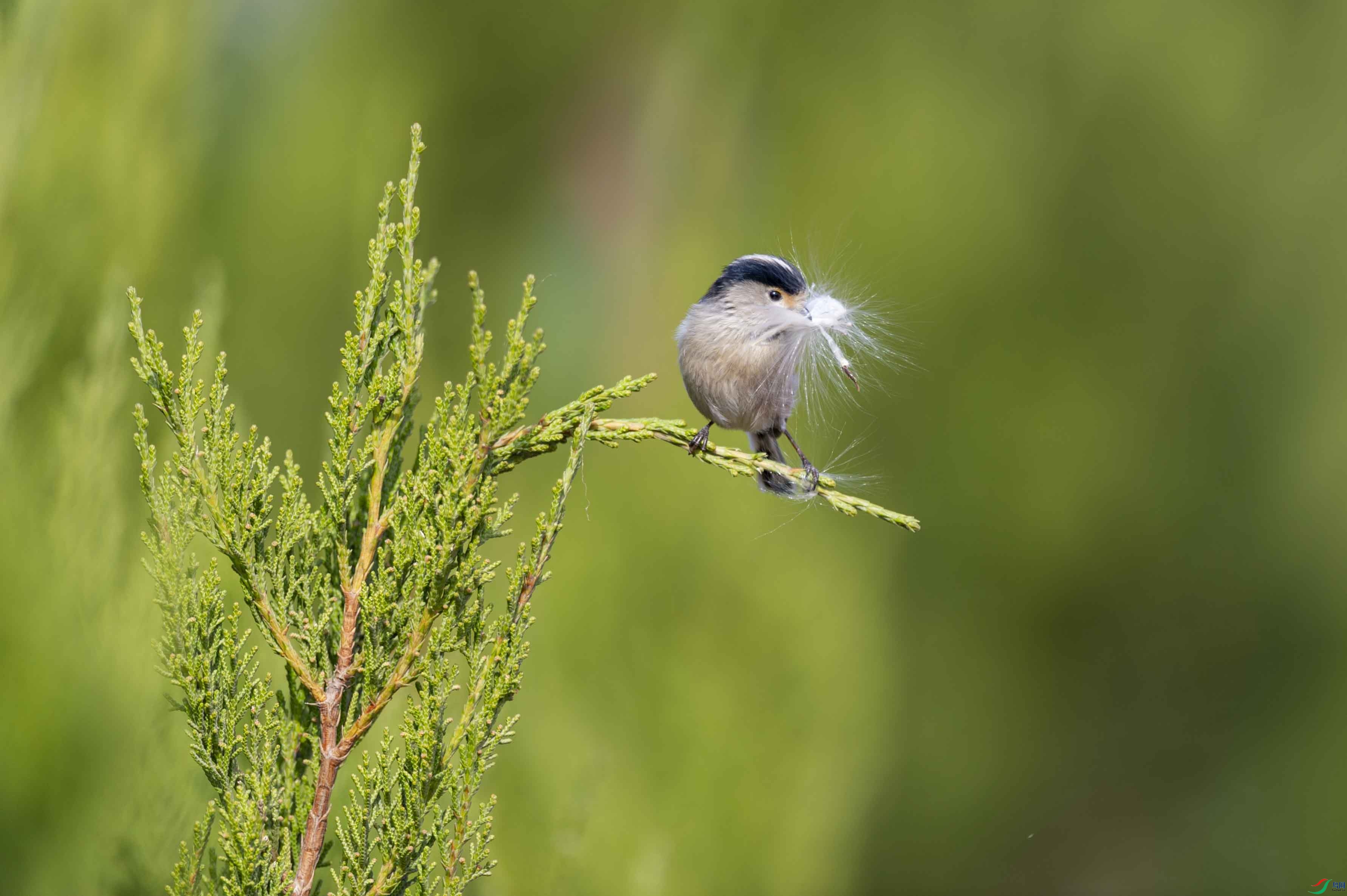 DSC_2808 ����.jpg