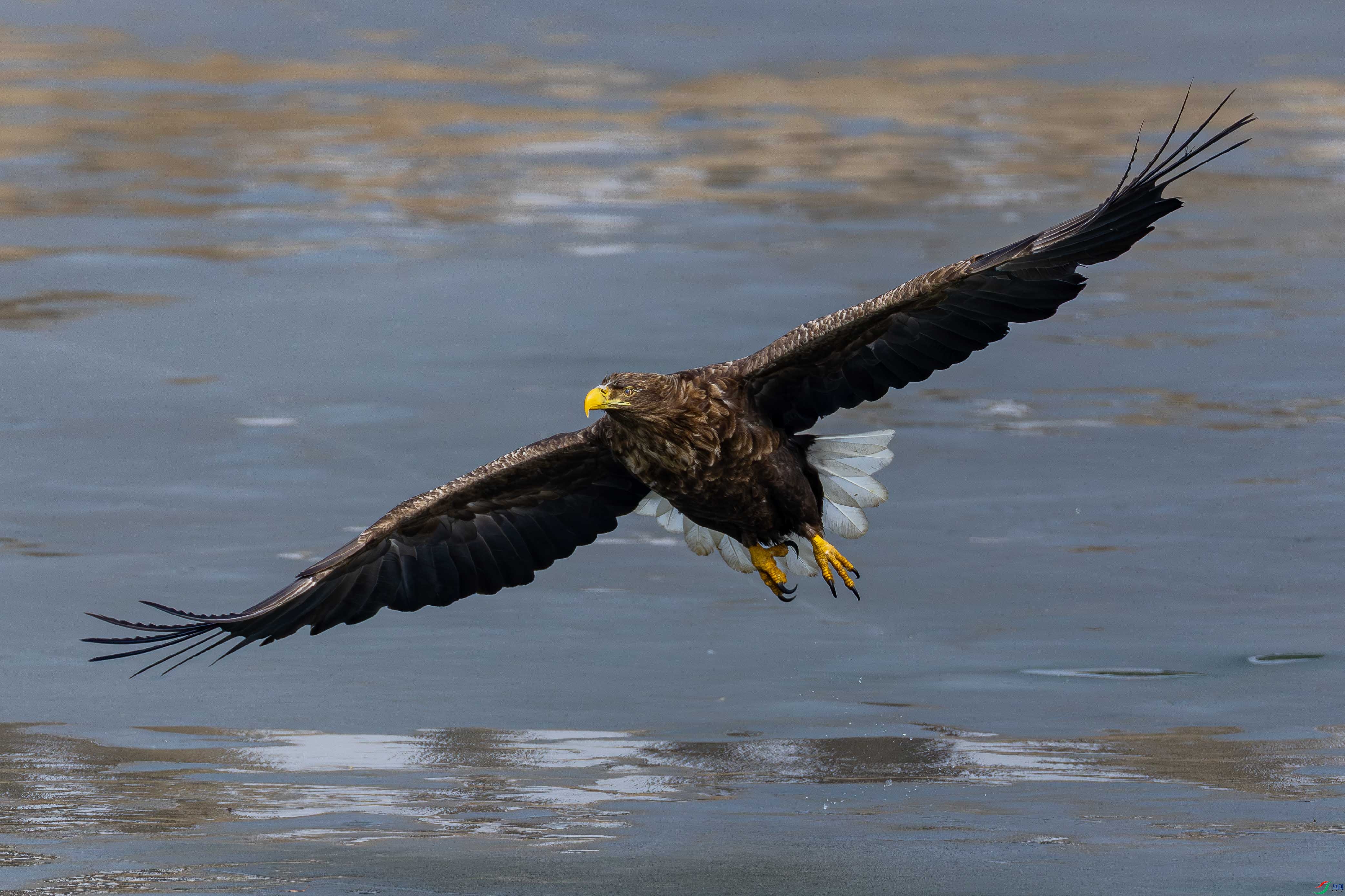 107A3067 ����.jpg