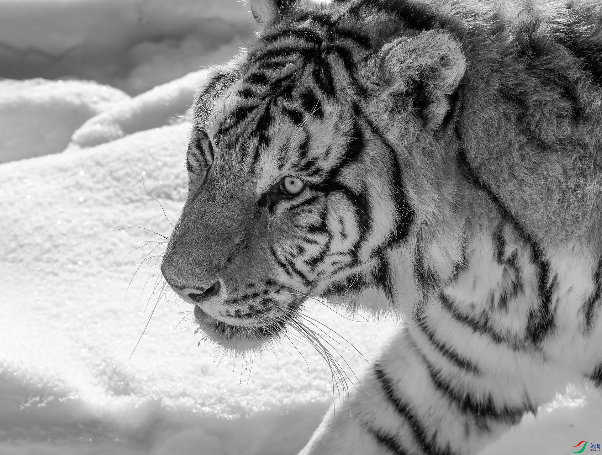 DSC_0184 (2) ���� 2.jpg